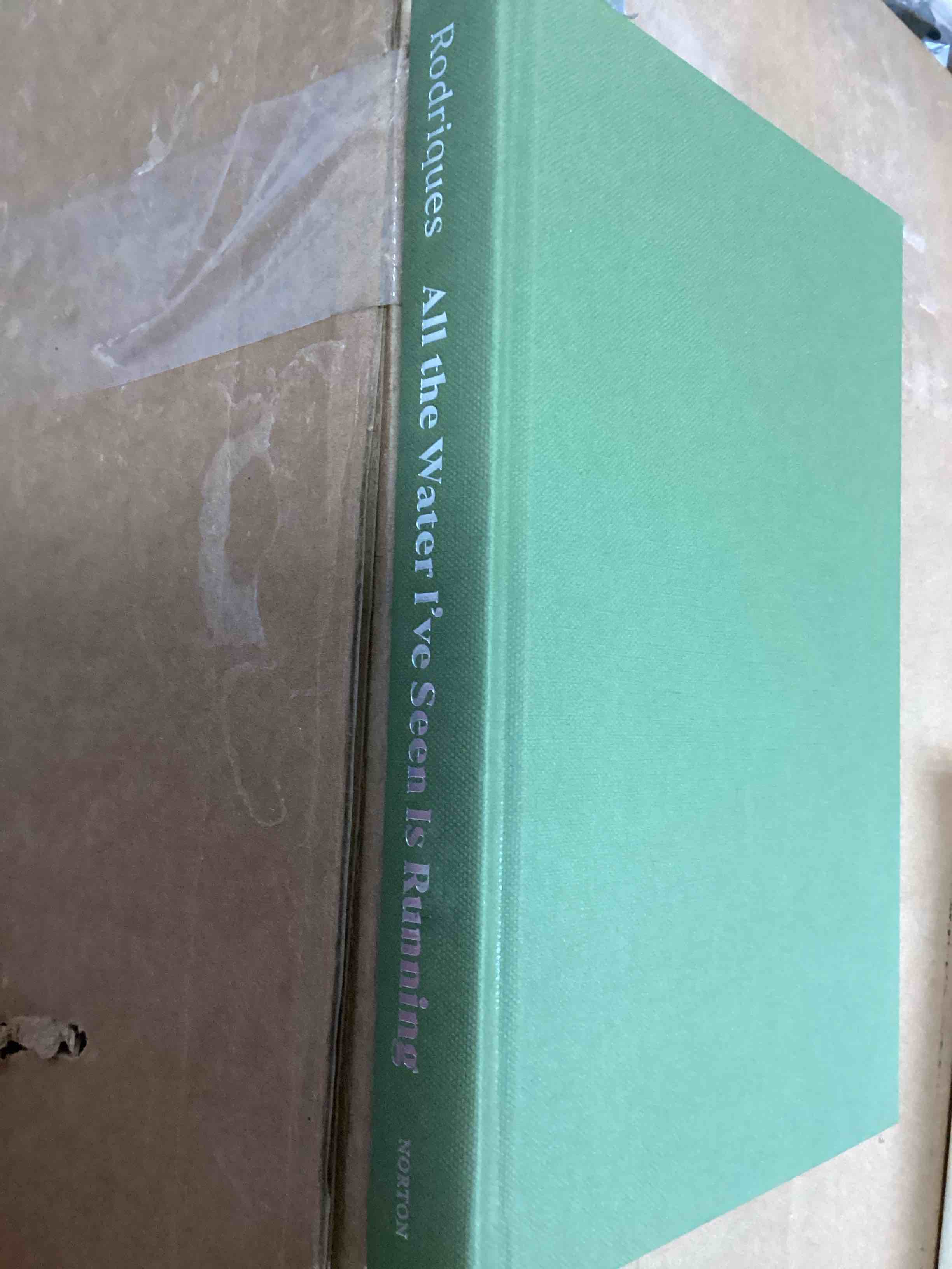 Book Rodriques All the Water I've Seen Is Running