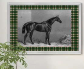 Equestrian Plaid | - Picture Frame Print 