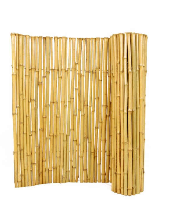 Natural Bamboo Fence 