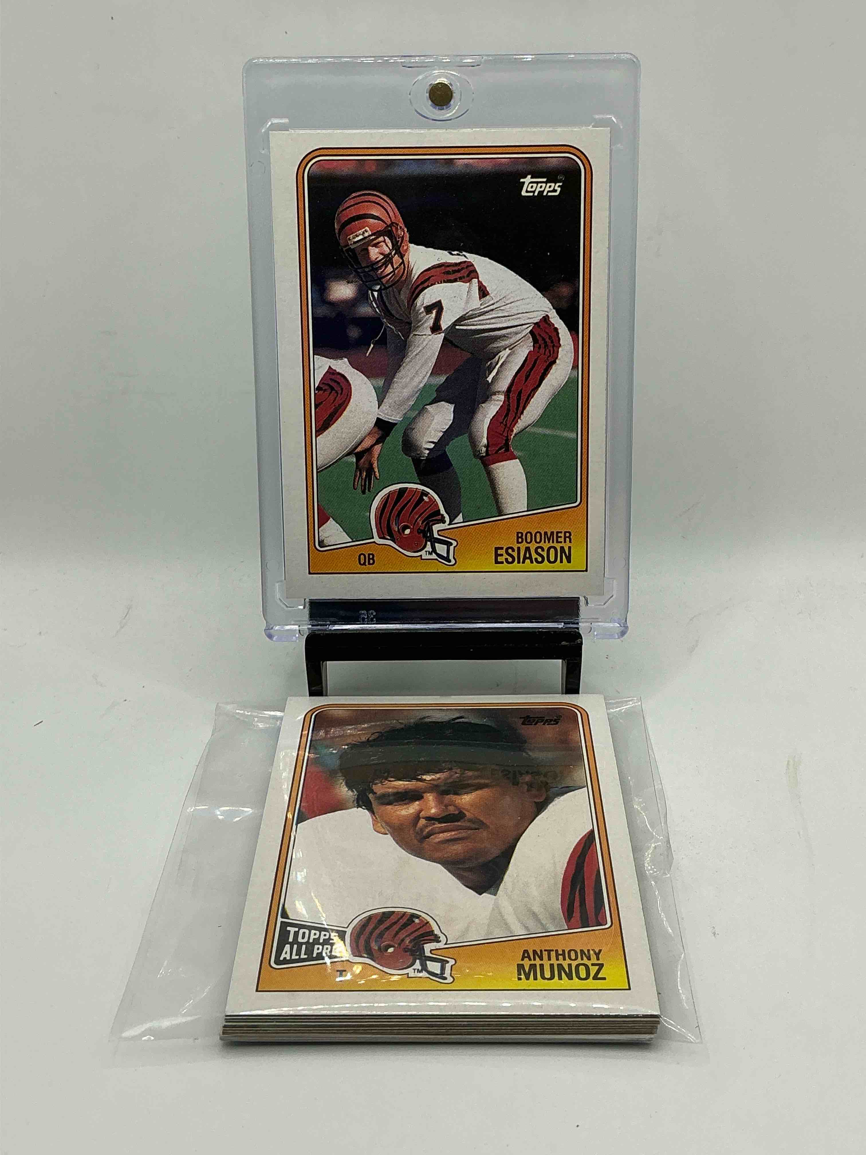 Collector’s Dream! Gold, Collectibles, Sports Cards, Coins, Pokémon, Yu-Gi-Oh & More!