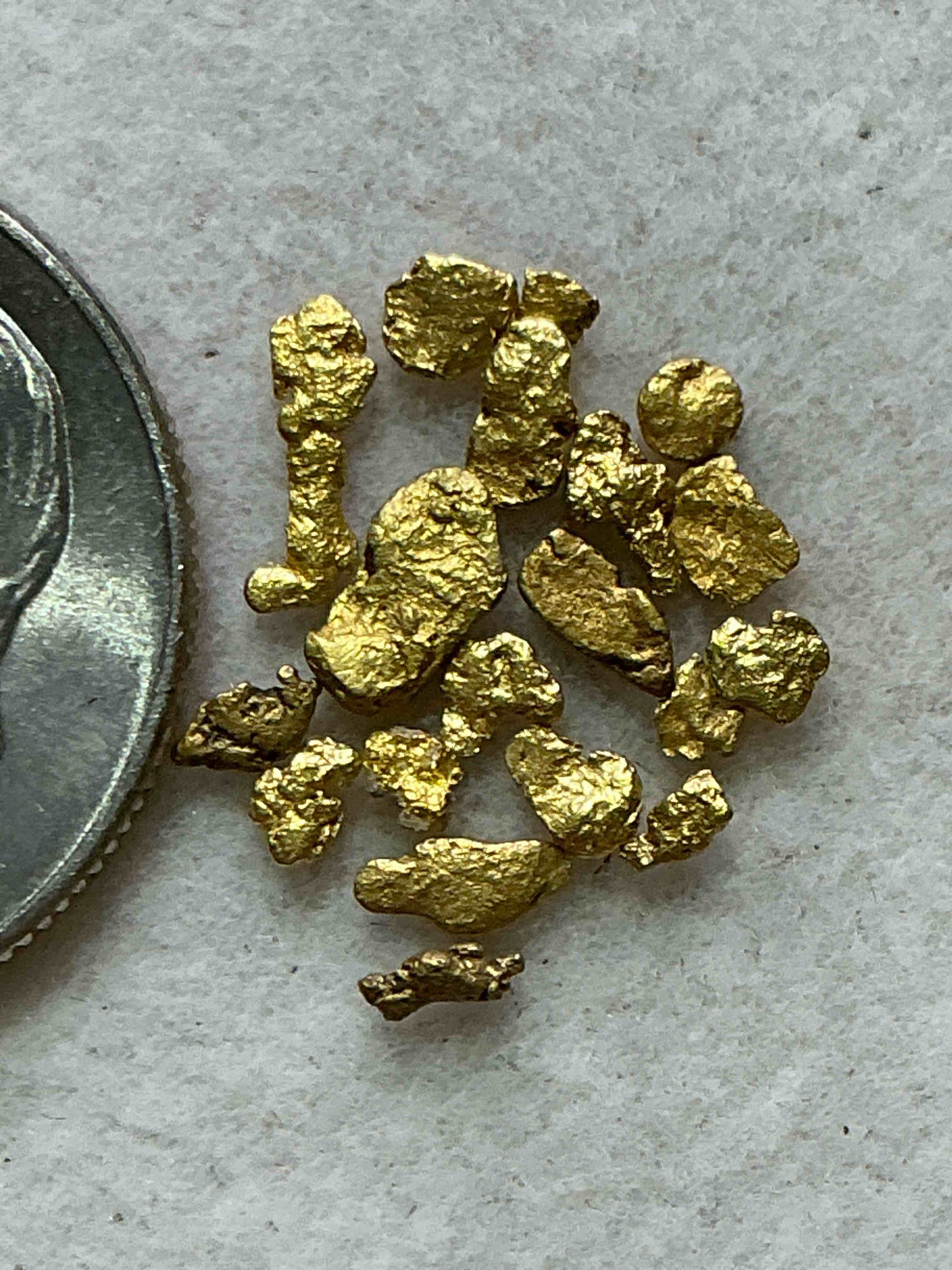 Condition photo showing New/Like New for genuine gold nuggets! gold nuggets fresh from prospecting north carolina mountains, total weight of all nuggets is approximately .5 grams. these gold nuggets typically test at between approx 22-24 karat. gold in raw, prospected form is extremely hard to find & much rarer than any refined form. get in on the gold craze... gold has increased in value over 40% since 2025! u.s. dime for size reference only (not included). gold vile in image included. own genuine, gold nuggets!