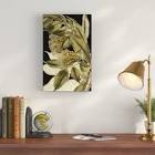 Tranquil. Tropical leaves be by vision studio.