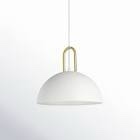 Dugan 1 Light Single Dome Pendant