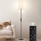 Rodenal 66.5 inch floor lamp with remote control and smart bulb included