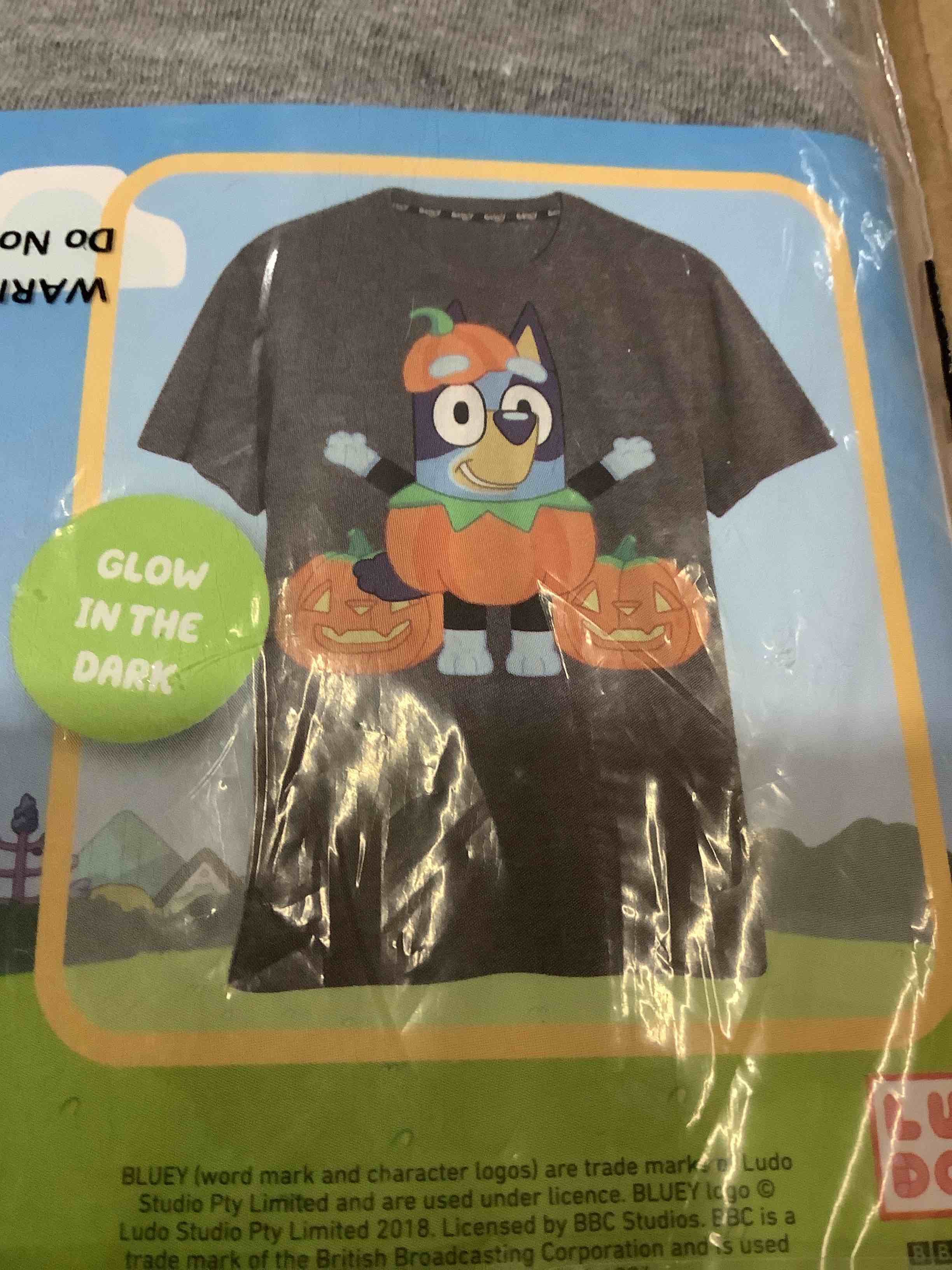 Bluey and friends adult Halloween small T-shirt gray