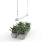 APICDOM 2 foot LED grow light