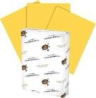Hammermill 103168 Recycled Colored PaperGoldenrod - 1 Ream 