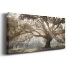 Virginia Oak Gallery wrapped canvas, ready to hang