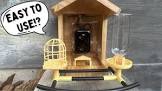 birdlegend smart al bird feeder with camera wooden house 