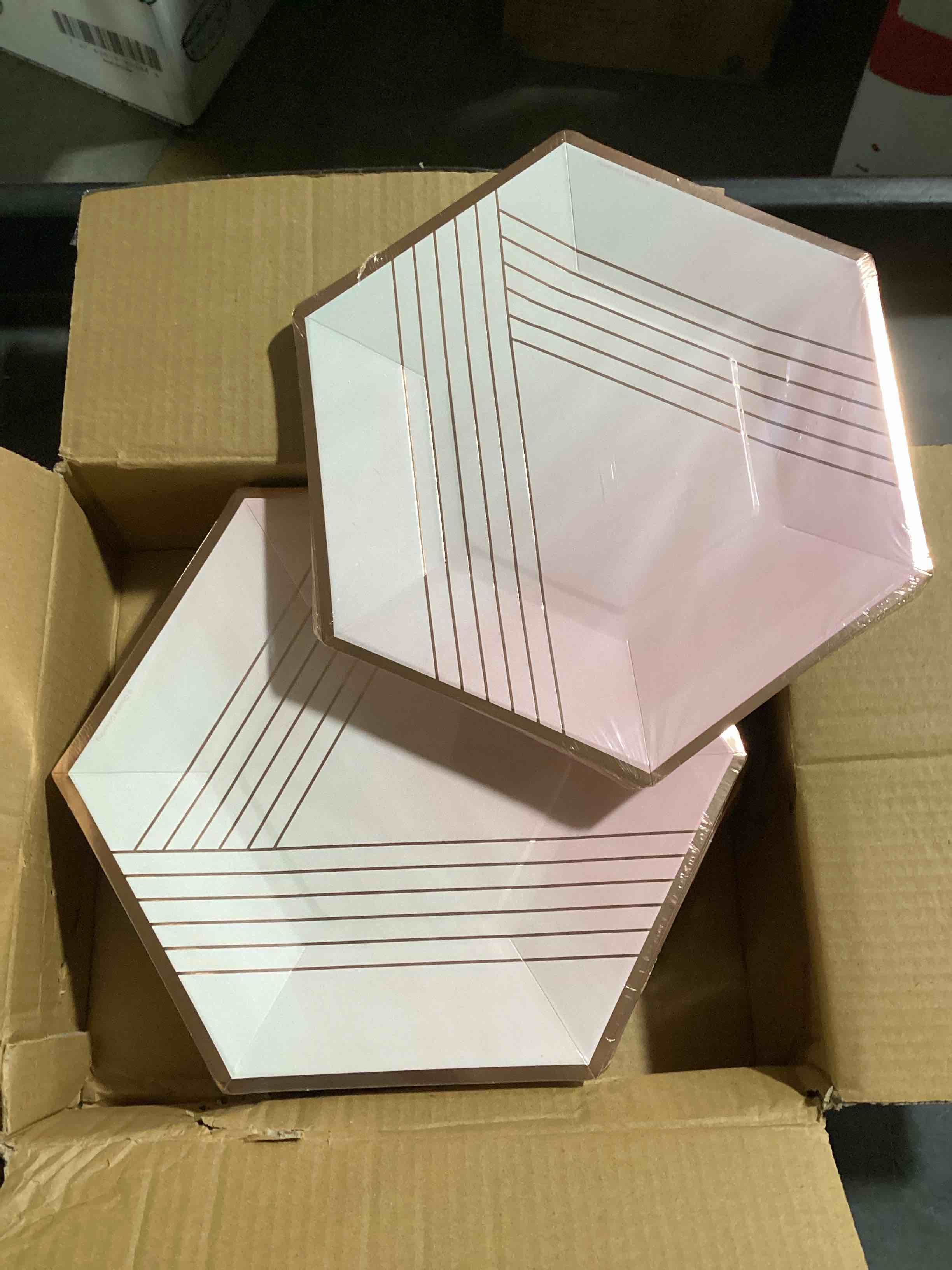 Pack of 12 (8ct) Paper Art Disposable Dinner Plates