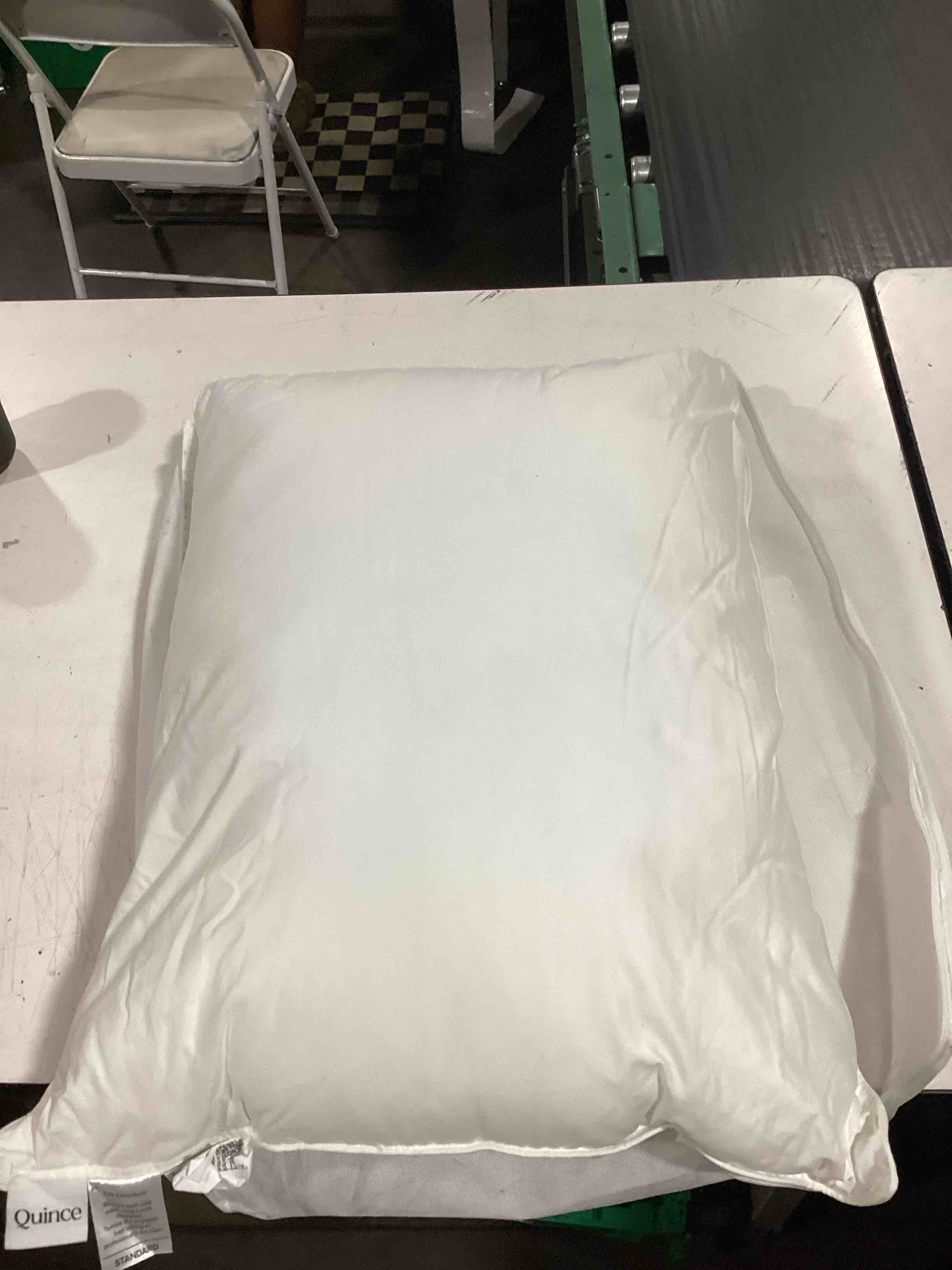 Condition photo showing Good Condition for premium down alternative pillow, standard