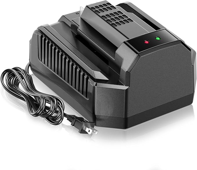 fast charging replacement for ego 56v battery charger ch2100,compatible with ego 56v batttery ba2800 ba4200 ba1400,for ego power+ ch2100 56-volt lithium-ion standard charger (similar to the stock photo) 