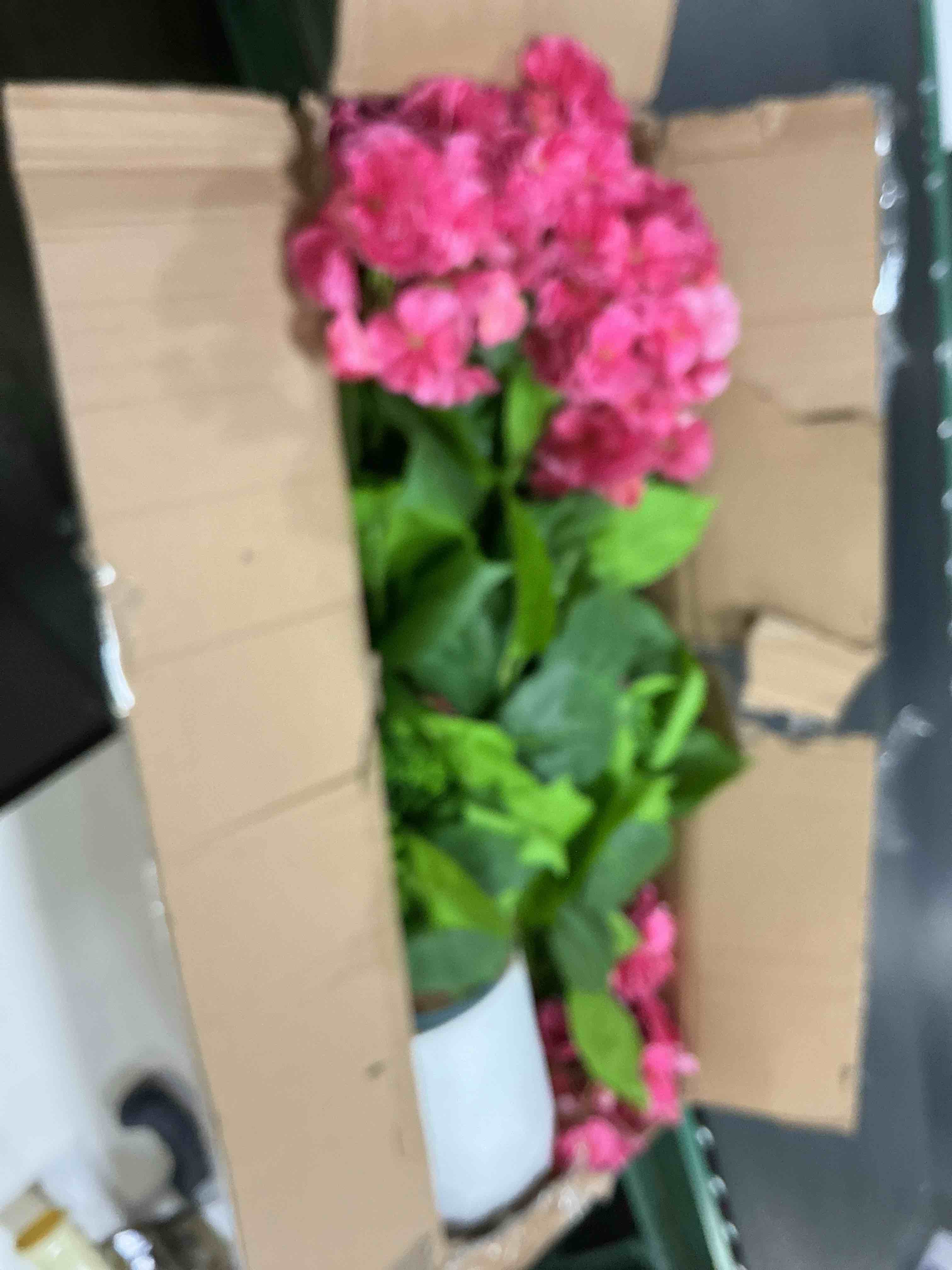 Condition photo showing Good Condition for artificial trees for home decor-3ft artificial hydrangea indoor with pot - tall artificial plants uv resistant for indoor outdoor front porch