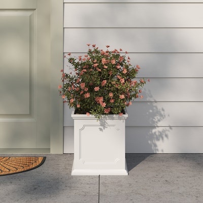 1k+ bought last week allen + roth square 141.1-13in 11.5 gallon in h white resin indoor/outdoor self watering