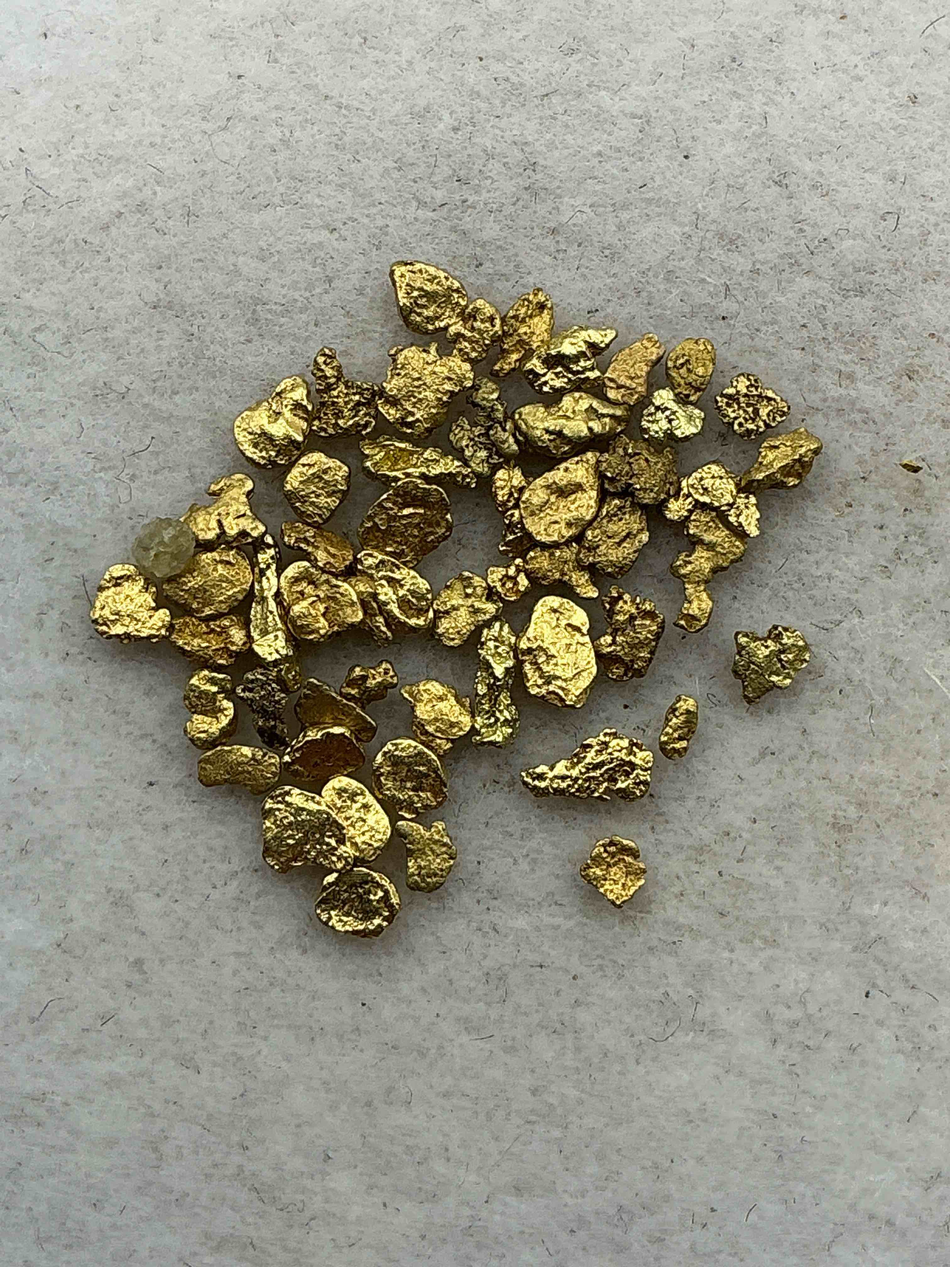 One Gram Total Genuine Gold Nuggets! Gold Nuggets Fresh From Prospecting North Carolina Mountains, Total Weight Of All Nuggets Is Approximately One Gram. These Gold Nuggets Typically Test At Between Approx 22-24 Karat. Gold In Raw, Prospected Form Is Extremely Hard To Find & Much Rarer Than Any Refined Form. Get In On The Gold Craze... Gold Has Increased In Value Over 40% Since 2025! U.S. Dime For Size Reference Only (not included). Gold Vile In Image Included. Own Genuine, Gold Nuggets! 