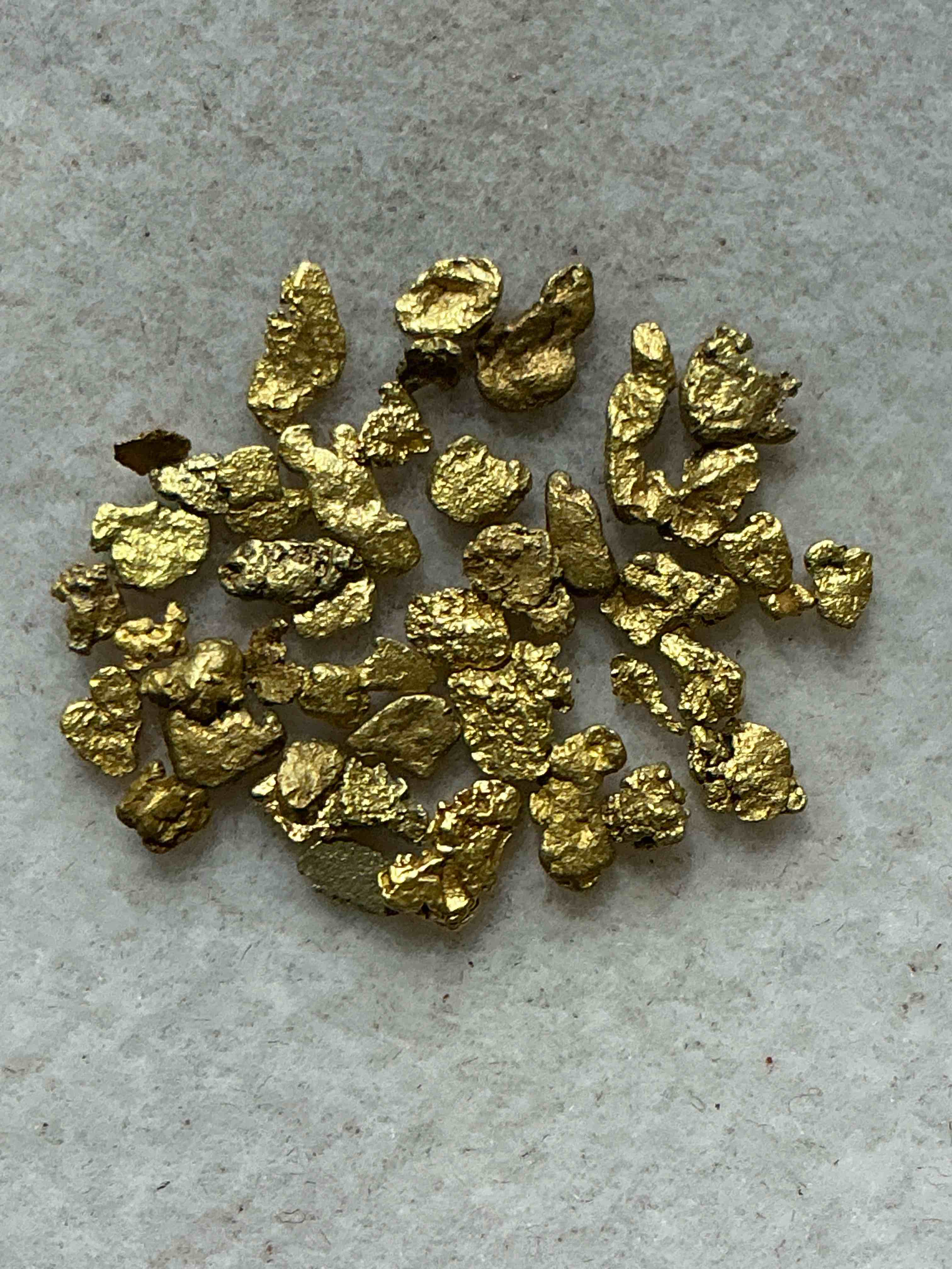 one gram total genuine gold nuggets! gold nuggets fresh from prospecting north carolina mountains, total weight of all nuggets is approximately one gram. these gold nuggets typically test at between approx 22-24 karat. gold in raw, prospected form is extremely hard to find & much rarer than any refined form. get in on the gold craze... gold has increased in value over 40% since 2025! u.s. dime for size reference only (not included). gold vile in image included. own genuine, gold nuggets!