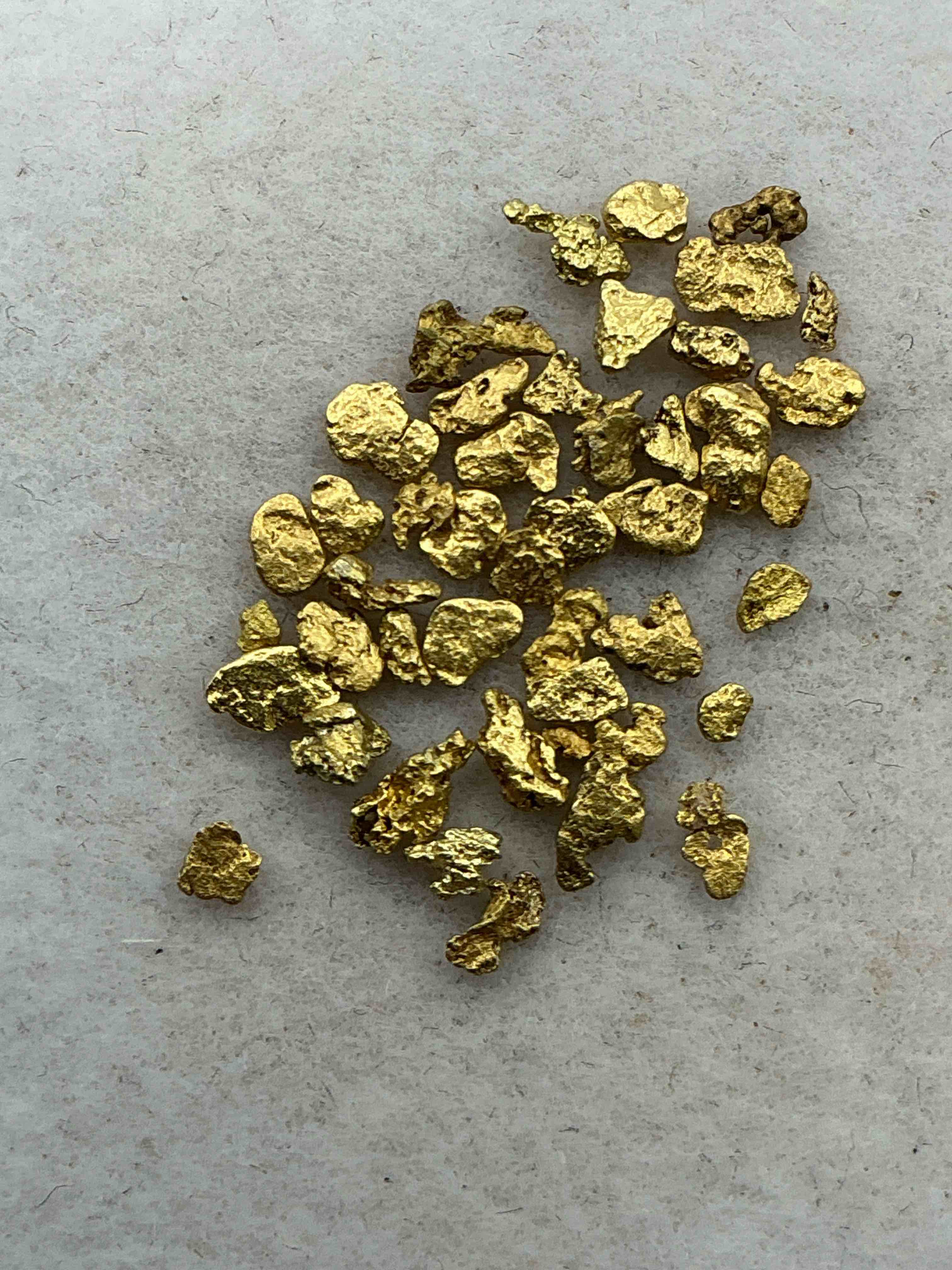One Gram Total Genuine Gold Nuggets! Gold Nuggets Fresh From Prospecting North Carolina Mountains, Total Weight Of All Nuggets Is Approximately One Gram. These Gold Nuggets Typically Test At Between Approx 22-24 Karat. Gold In Raw, Prospected Form Is Extremely Hard To Find & Much Rarer Than Any Refined Form. Get In On The Gold Craze... Gold Has Increased In Value Over 40% Since 2025! U.S. Dime For Size Reference Only (not included). Gold Vile In Image Included. Own Genuine, Gold Nuggets! 