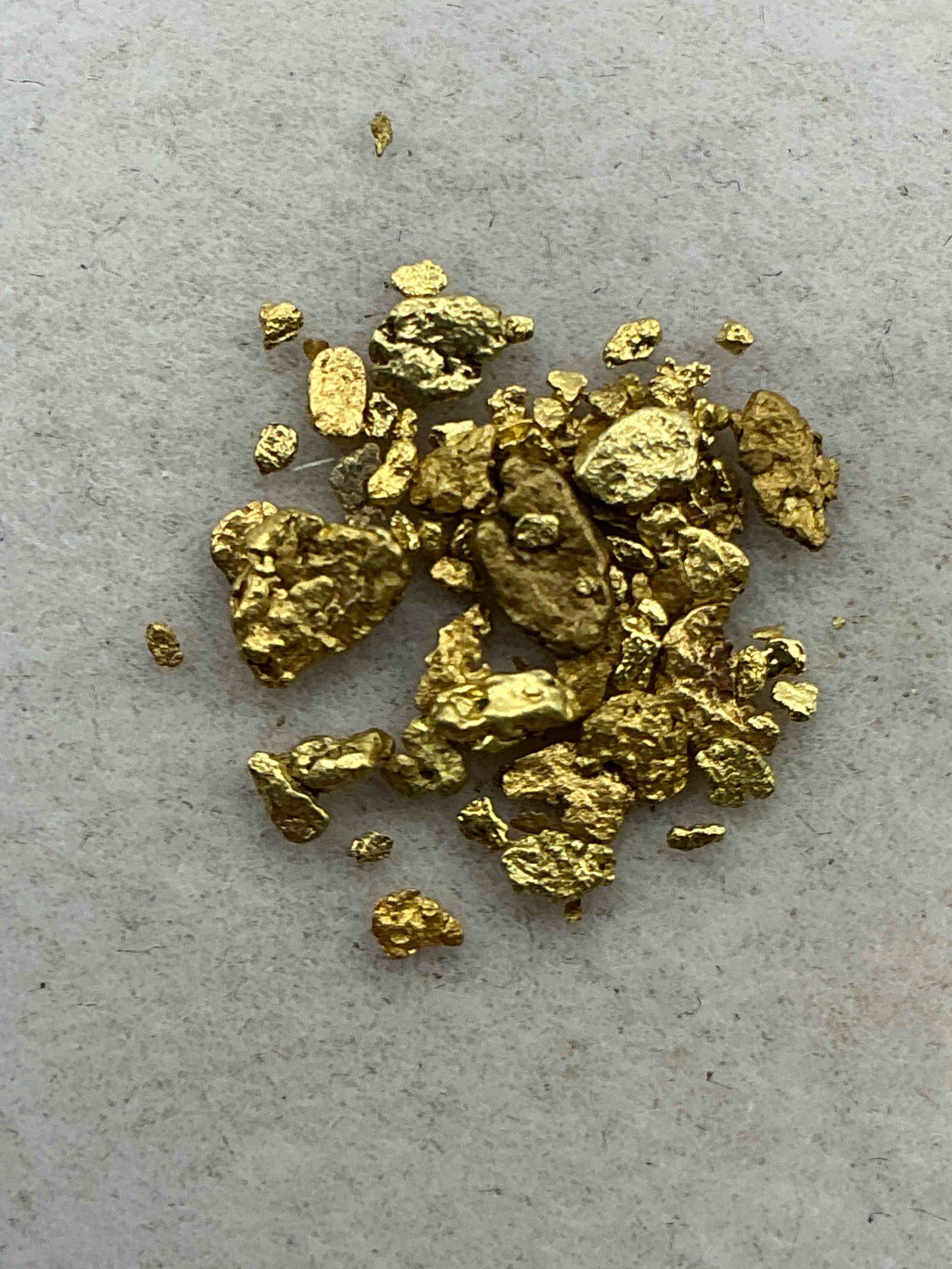 one gram total genuine gold nuggets! gold nuggets fresh from prospecting north carolina mountains, total weight of all nuggets is approximately one gram. these gold nuggets typically test at between approx 22-24 karat. gold in raw, prospected form is extremely hard to find & much rarer than any refined form. get in on the gold craze... gold has increased in value over 40% since 2025! u.s. dime for size reference only (not included). gold vile in image included. own genuine, gold nuggets!