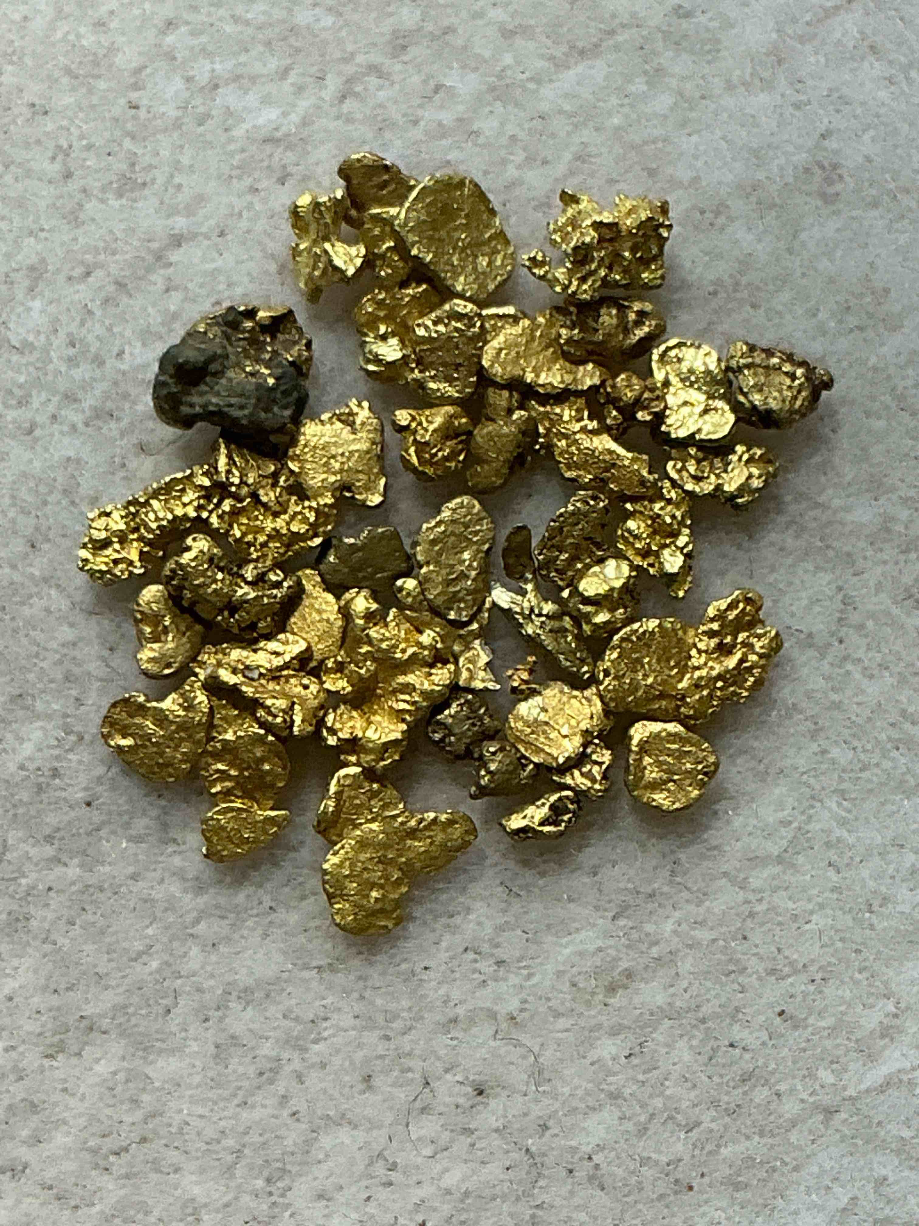 one gram total genuine gold nuggets! gold nuggets fresh from prospecting north carolina mountains, total weight of all nuggets is approximately one gram. these gold nuggets typically test at between approx 22-24 karat. gold in raw, prospected form is extremely hard to find & much rarer than any refined form. get in on the gold craze... gold has increased in value over 40% since 2025! u.s. dime for size reference only (not included). gold vile in image included. own genuine, gold nuggets! 