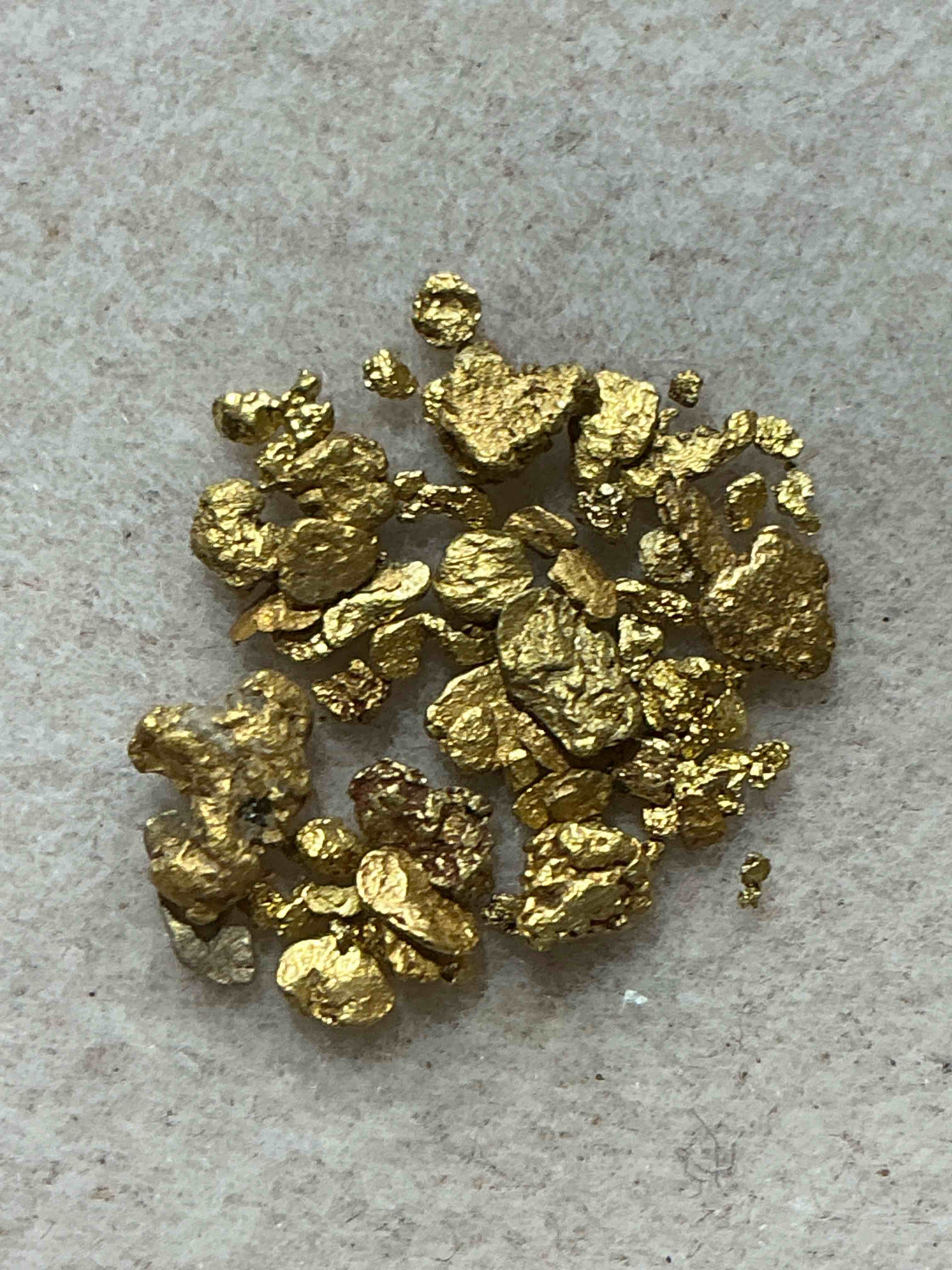 one gram total genuine gold nuggets! gold nuggets fresh from prospecting north carolina mountains, total weight of all nuggets is approximately one gram. these gold nuggets typically test at between approx 22-24 karat. gold in raw, prospected form is extremely hard to find & much rarer than any refined form. get in on the gold craze... gold has increased in value over 40% since 2025! u.s. dime for size reference only (not included). gold vile in image included. own genuine, gold nuggets!