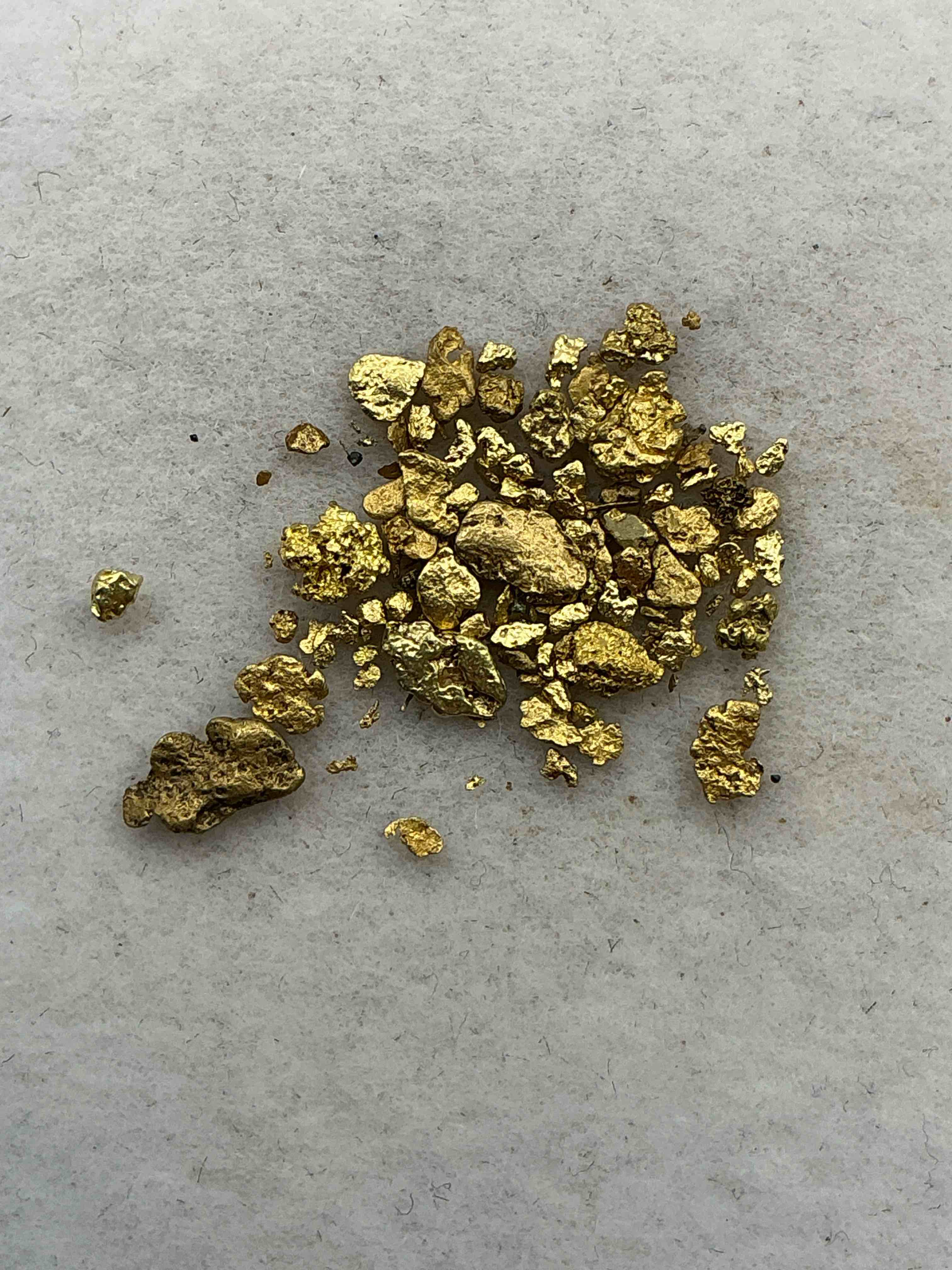 approximately 1 gram genuine gold nuggets! gold nuggets fresh from prospecting north carolina mountains, total weight of all nuggets is approximately this gold nugget tests at between approx 22-24 karat. gold in raw, prospected form is extremely hard to find & much rarer than any refined form. get in on the gold craze... gold has increased in value over 40% since 2025! u.s. dime for size reference only (not included). case in image included. own genuine, gold nuggets!