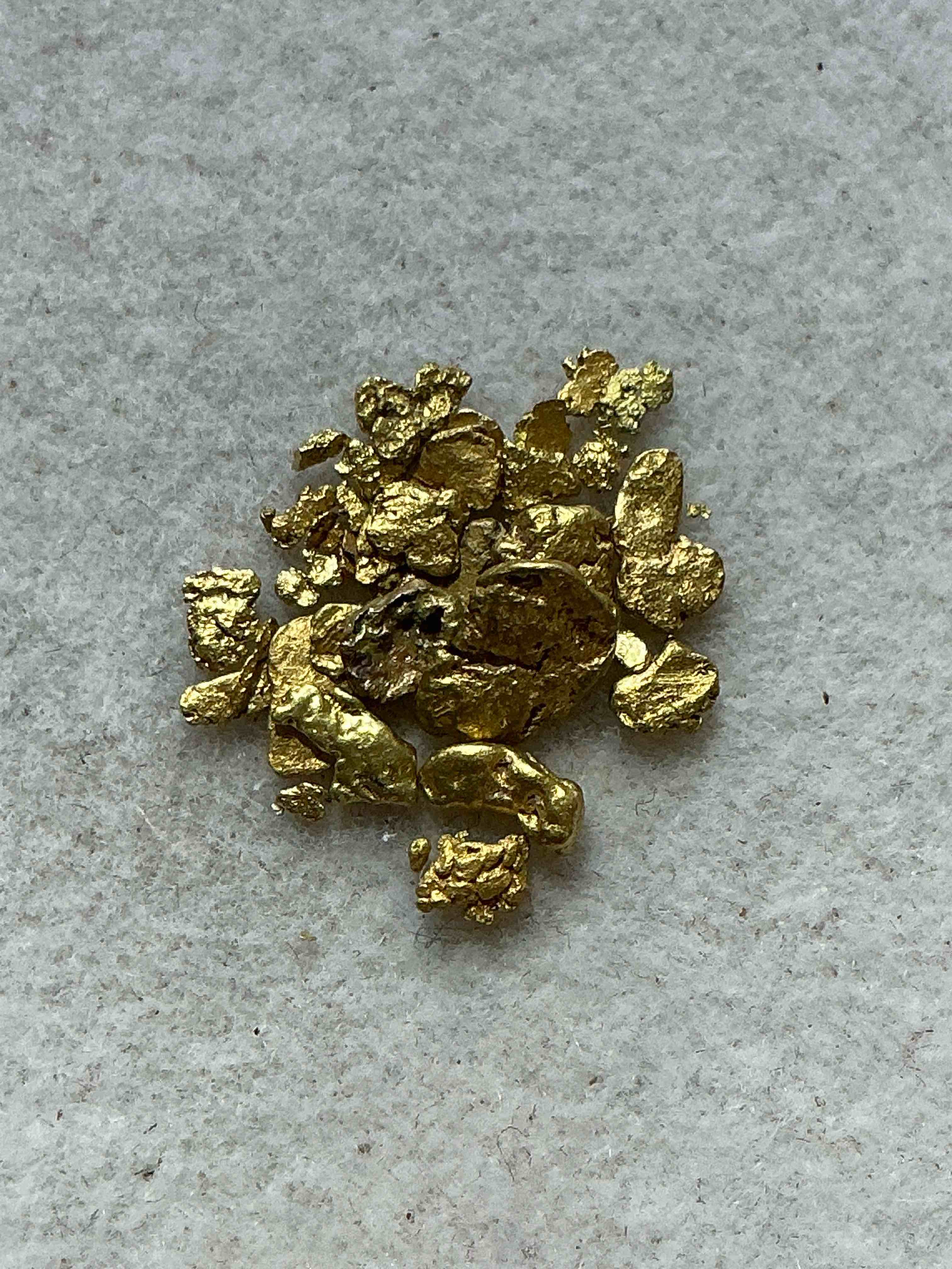approximately 1 gram genuine gold nuggets! gold nuggets fresh from prospecting north carolina mountains, total weight of all nuggets is approximately 1 gram! these gold nuggets test at between approx 22-24 karat. gold in raw, prospected form is extremely hard to find & much rarer than any refined form. get in on the gold craze... gold has increased in value over 40% since 2025! u.s. dime for size reference only (not included). case in image included. own genuine, gold nuggets!
