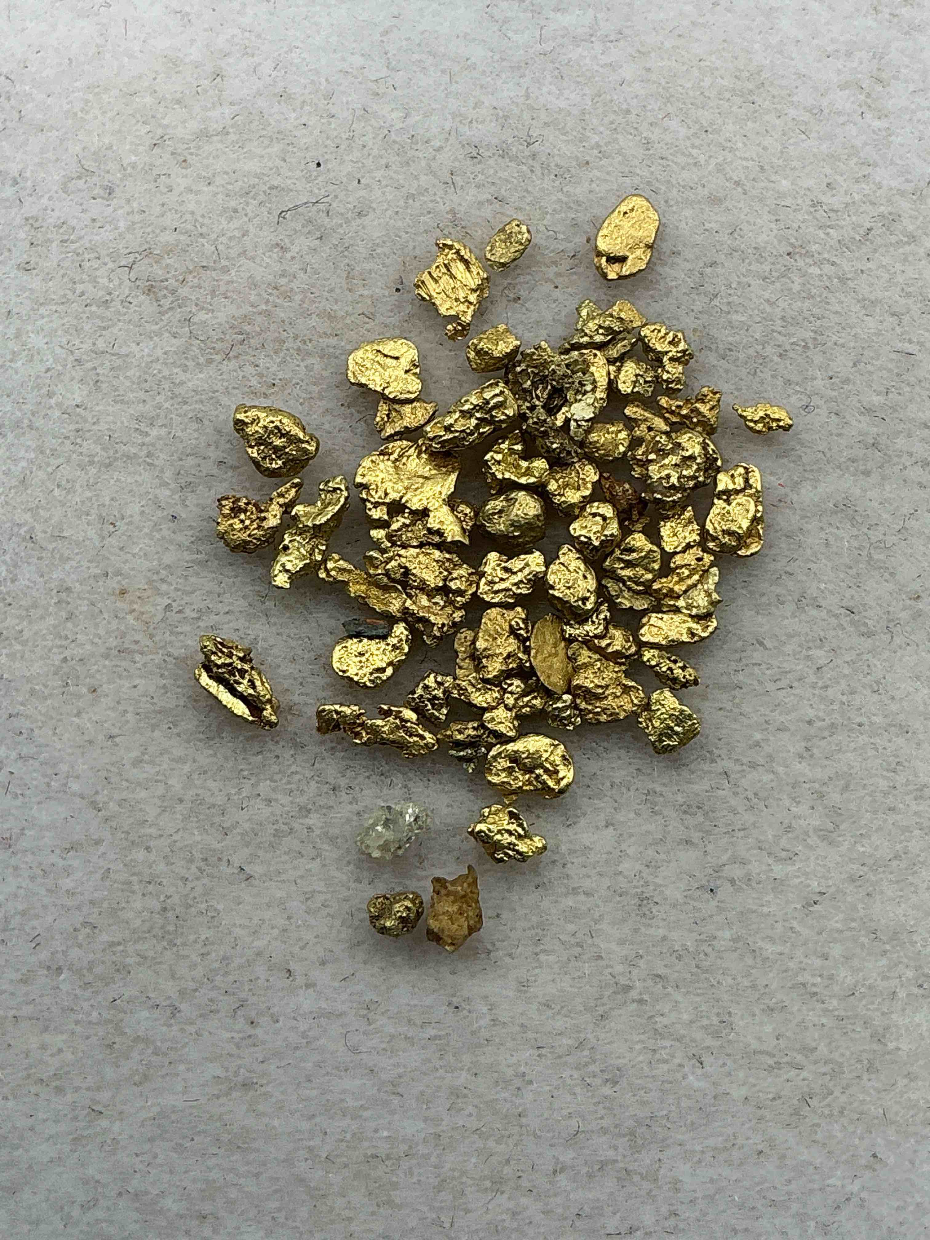 genuine gold nuggets! approximately 1 gram of prospected gold nuggets! gold nuggets fresh from prospecting north carolina mountains, total weight of all nuggets is approximately 1 gram! these gold nuggets test at between approx 22-24 karat. gold in raw, prospected form is extremely hard to find & much rarer than any refined form. get in on the gold craze... gold has increased in value over 40% since 2025! u.s. dime for size reference only (not included). case in image included. own genuine, gold nuggets!