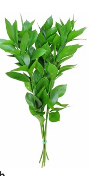Similar to Ruscus Israeli, Bunch