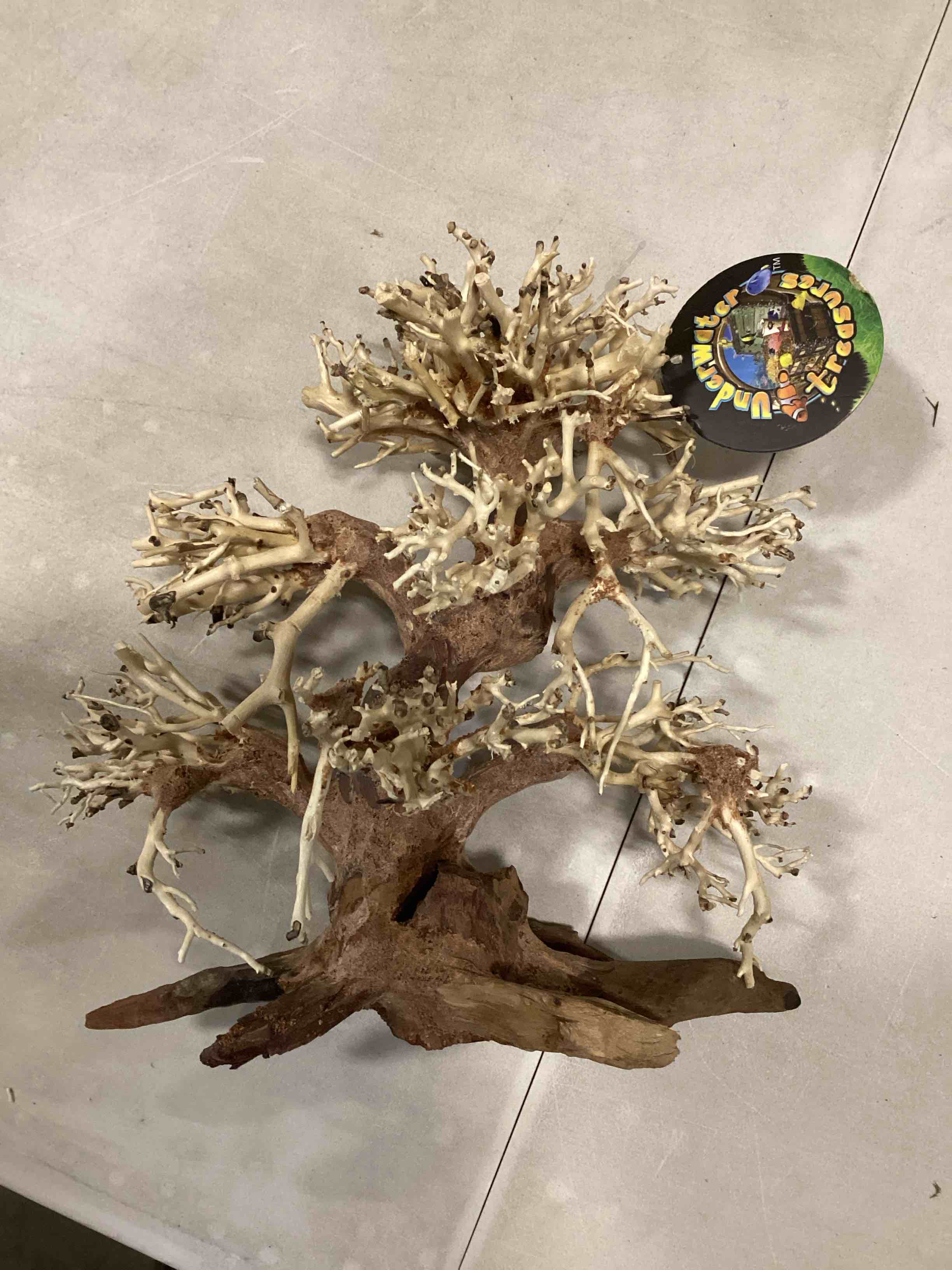 Condition photo showing New/Like New for Underwater Treasure wood tree