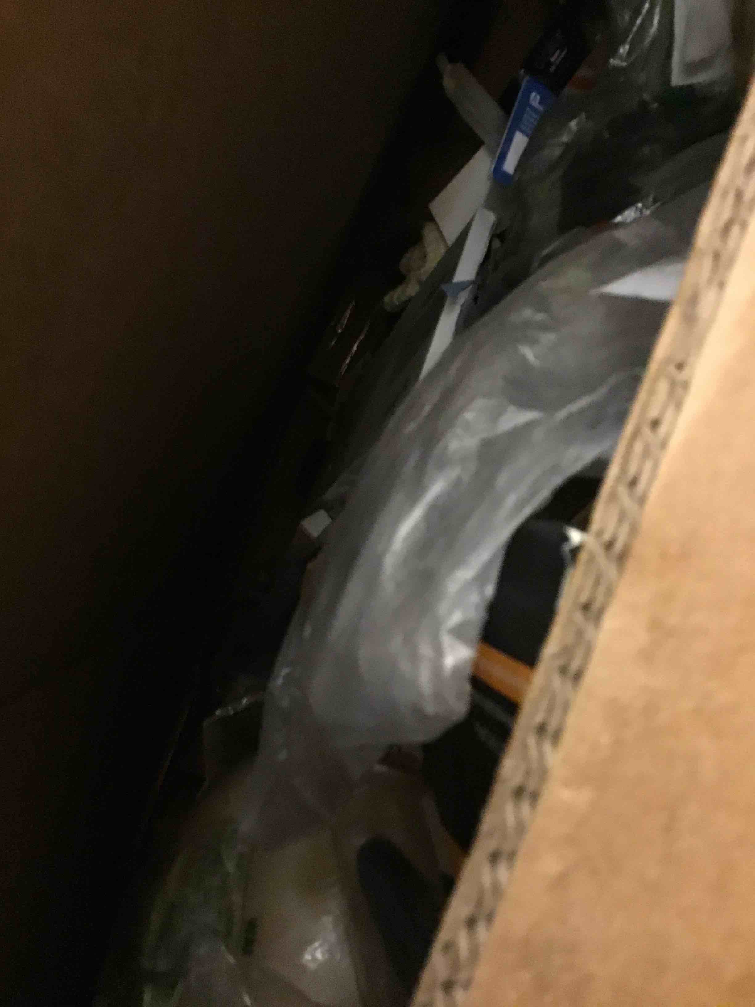 Bins & Bits #4