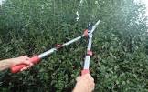 Extendable Hedge Trimmers