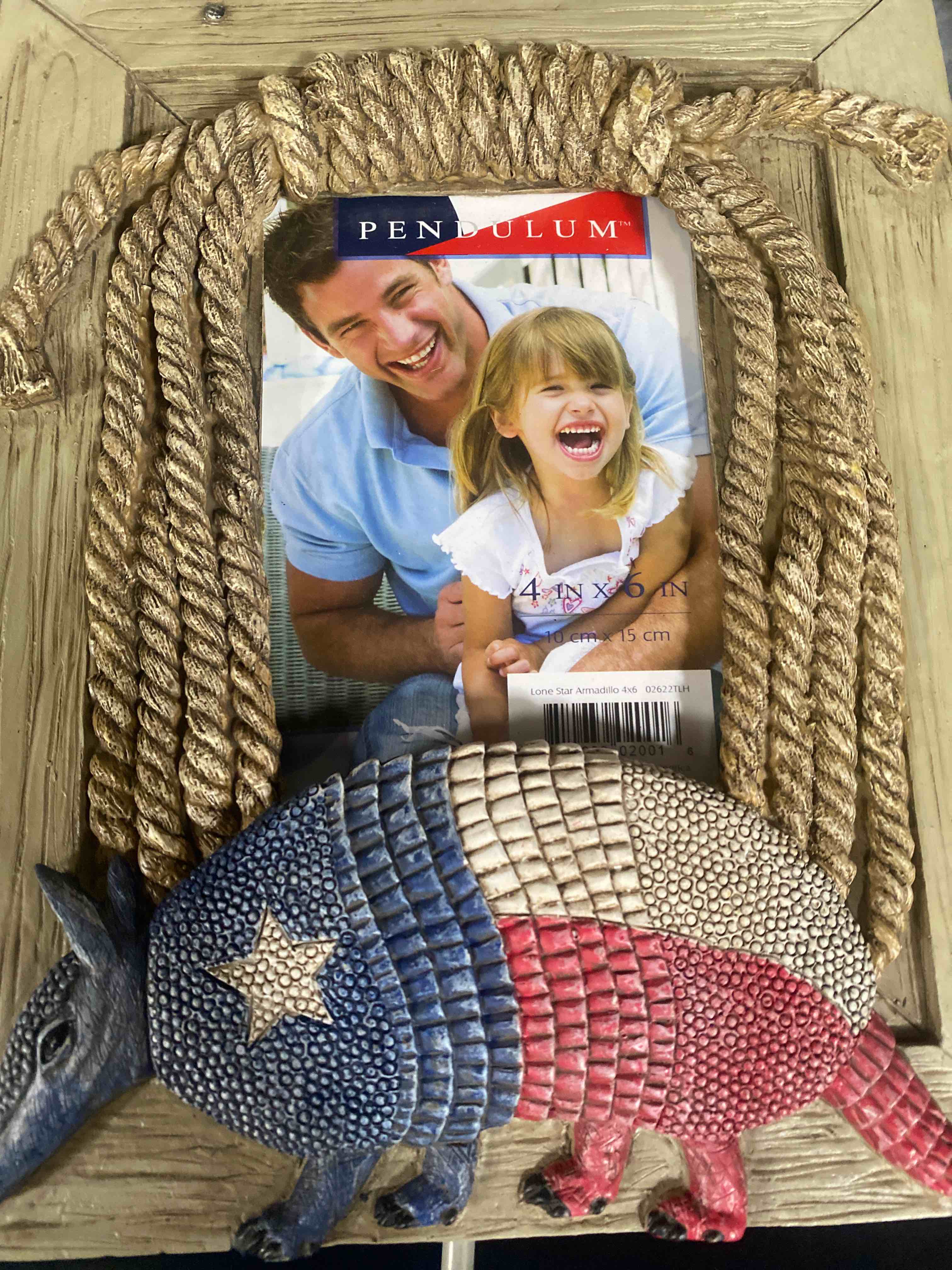 Lone star armadillo fame 4x6 inches area for pictures by Smart Art America