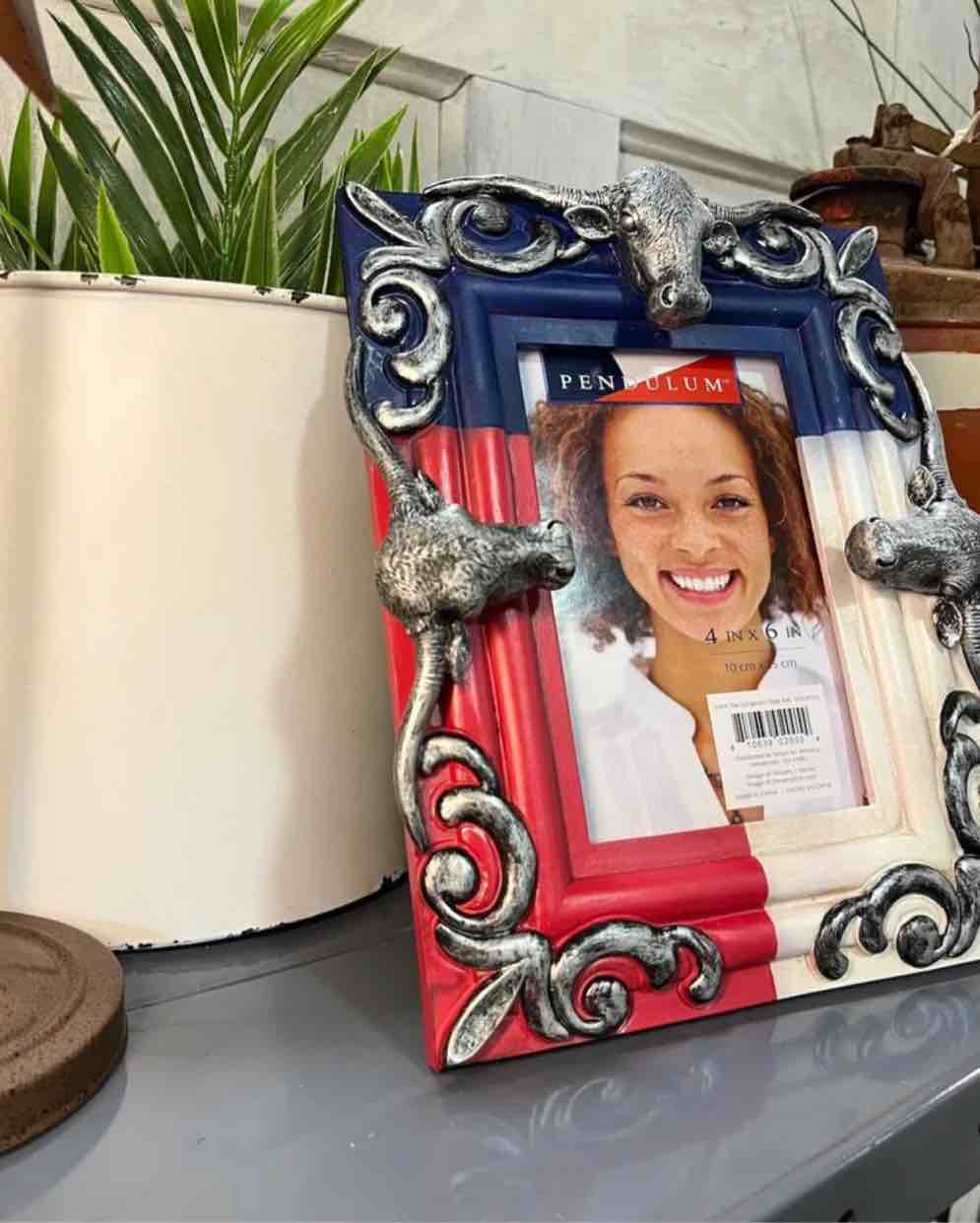 Pendulum Picture Frame 4x6 with Bulls, Red, Cream & Blue 