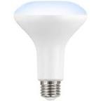 Echosmart Smart Bulb, 65 W.