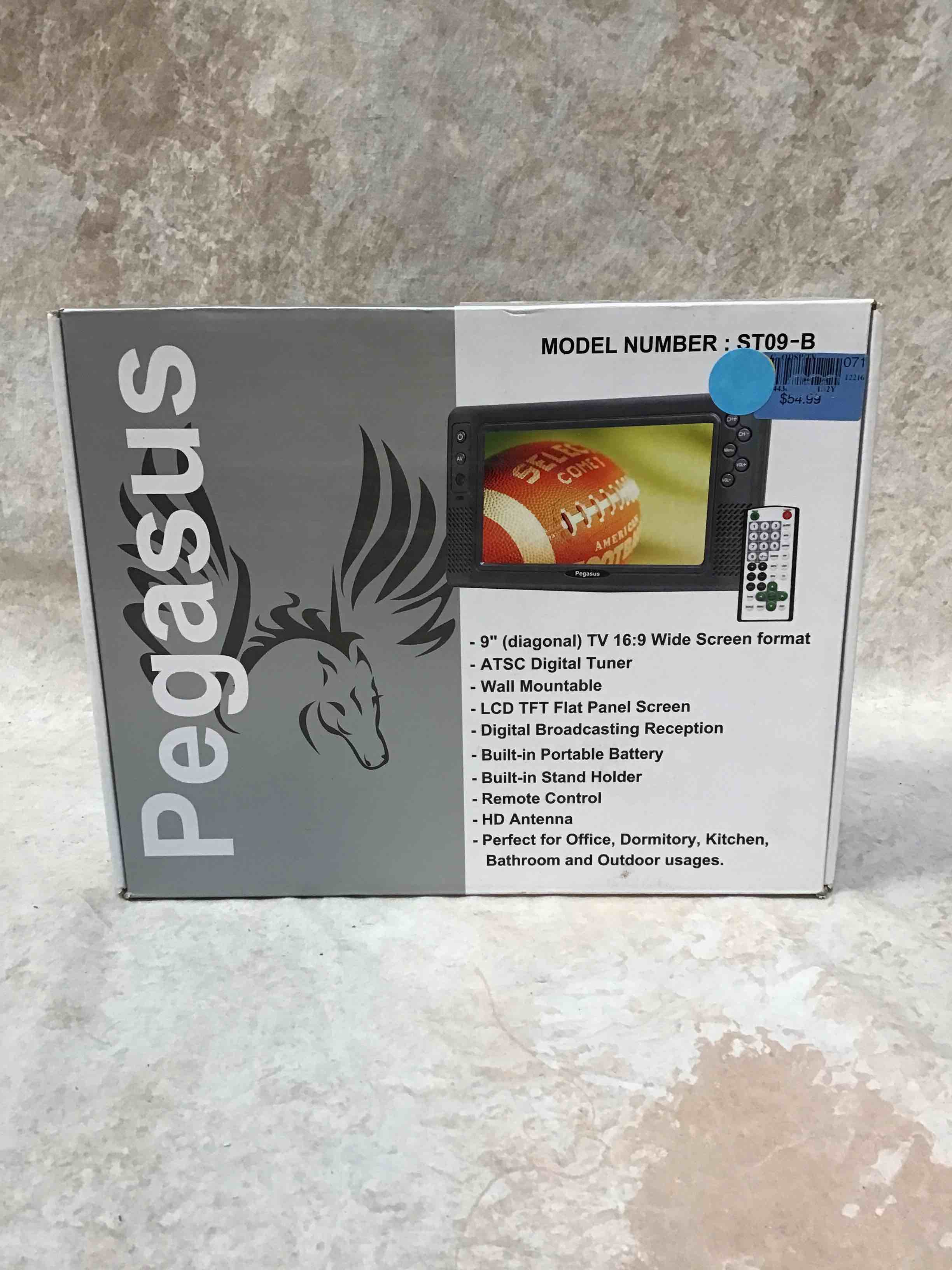 Pegasus 9” TV 