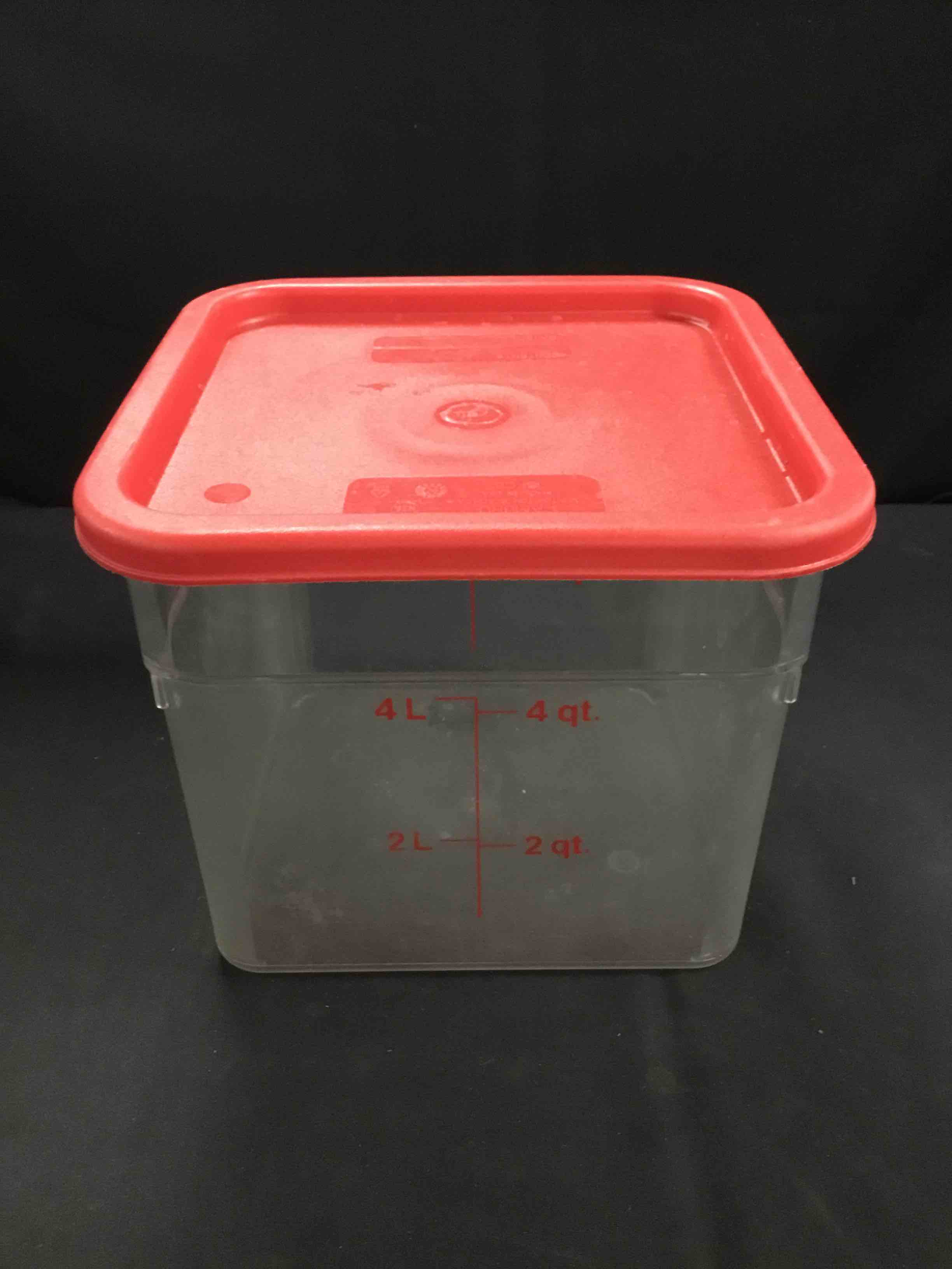6 Qt. Plastic Storage Container With Lid