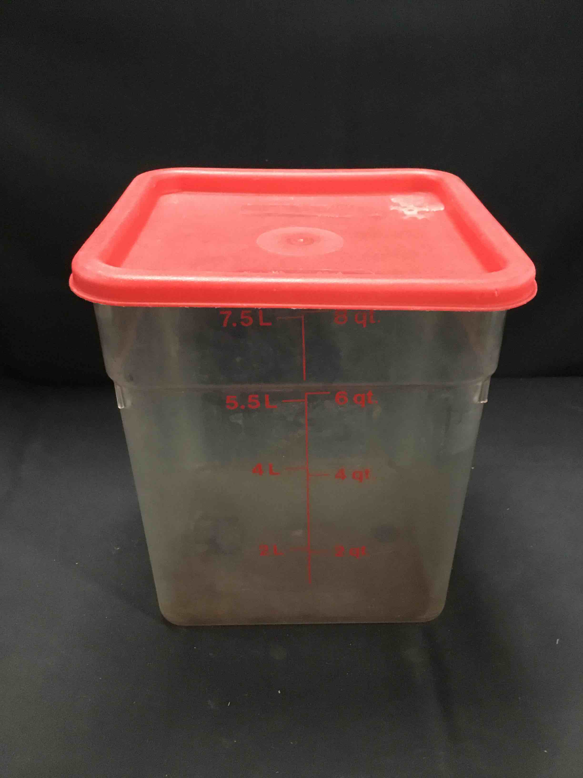 8 Qt. Plastic Storage Container With Lid 