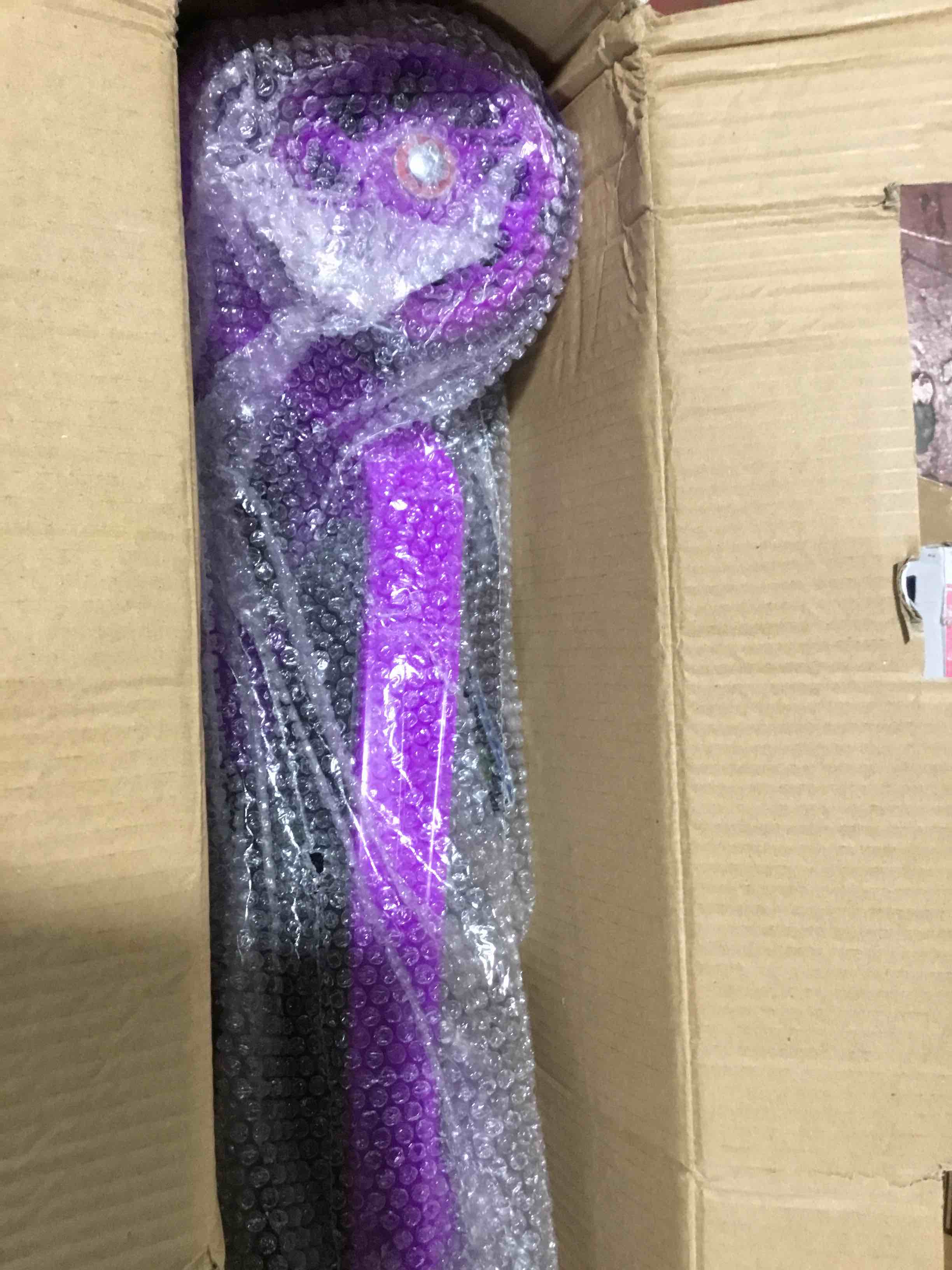 https://s3.amazonaws.com/lotting-images-prod/bidfta/RED3995062_1709049228596.jpeg