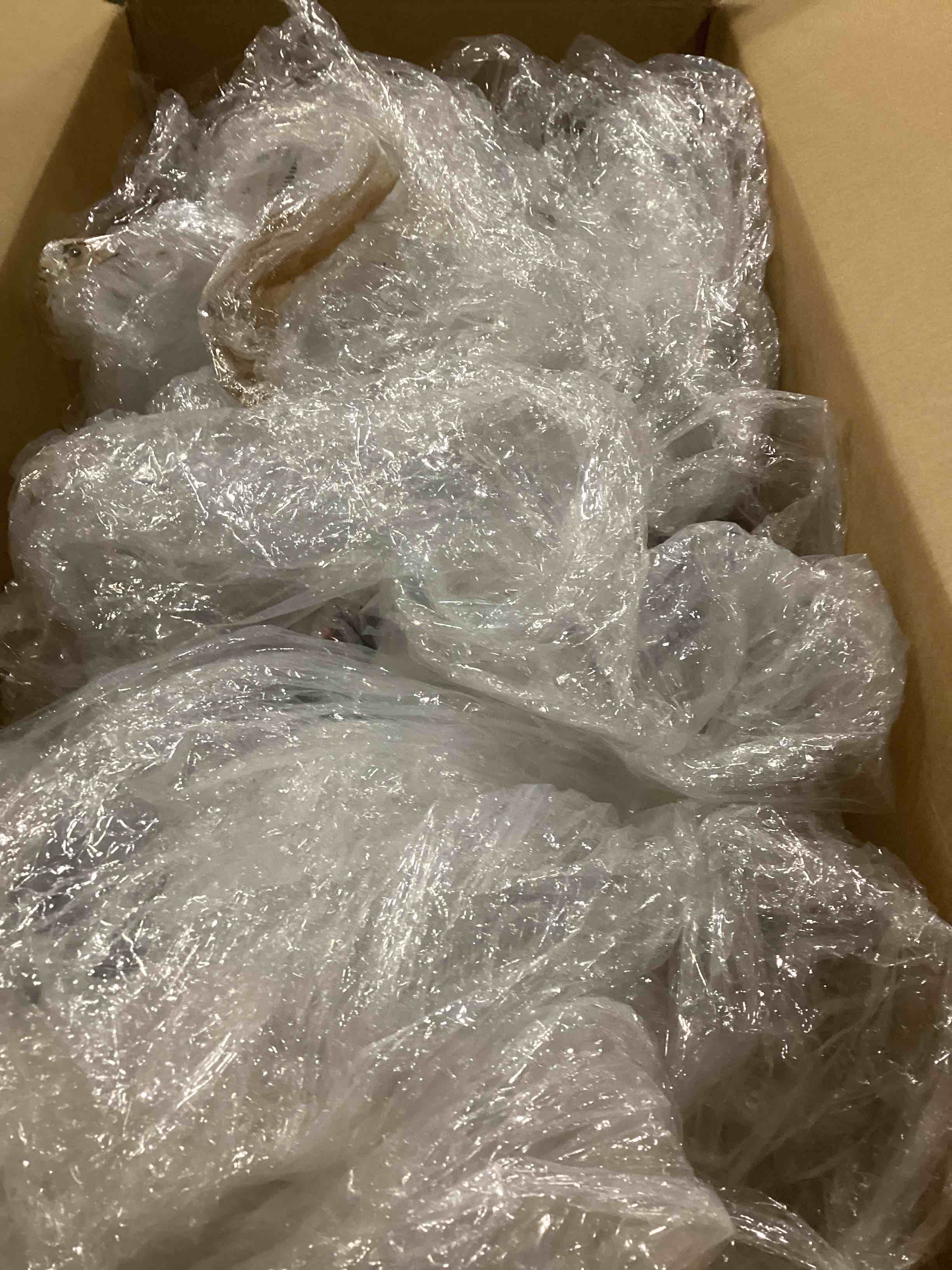 https://s3.amazonaws.com/lotting-images-prod/bidfta/RED4173215_1705681248485.jpeg