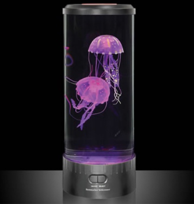 The Hypnotic Jellyfish Aquarium