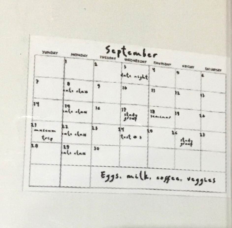 tempaper and co peel and stick monthly wall calendar wm70141