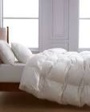 Quince Luxe Goose Down Comforter, White, Twin 