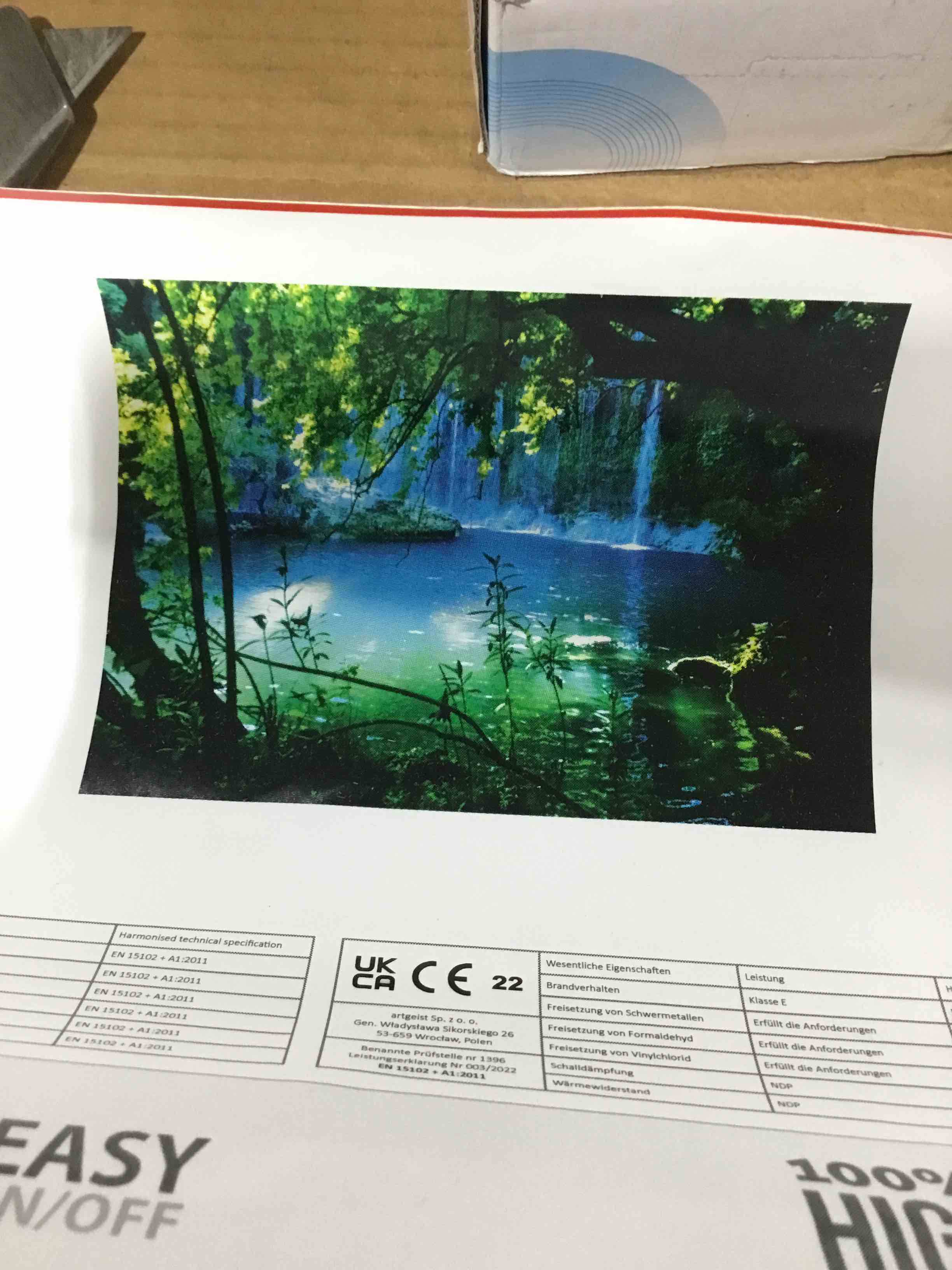 173.6” x 124” Wall Covering