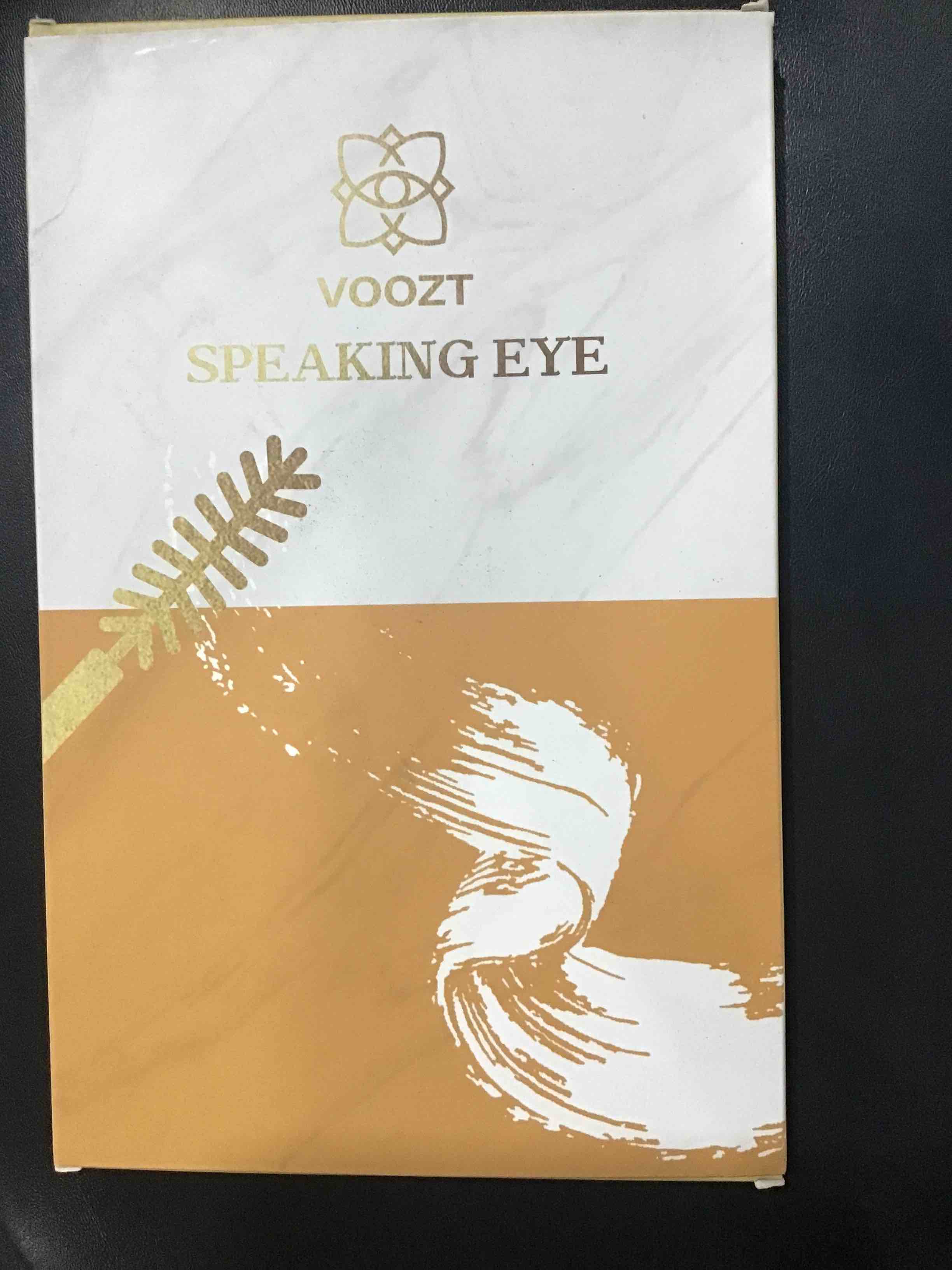 vootz speaking eye magnetic lashes 