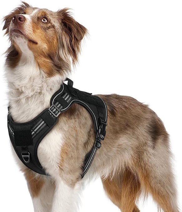 Rabbitgoo Dog Harness, Medium