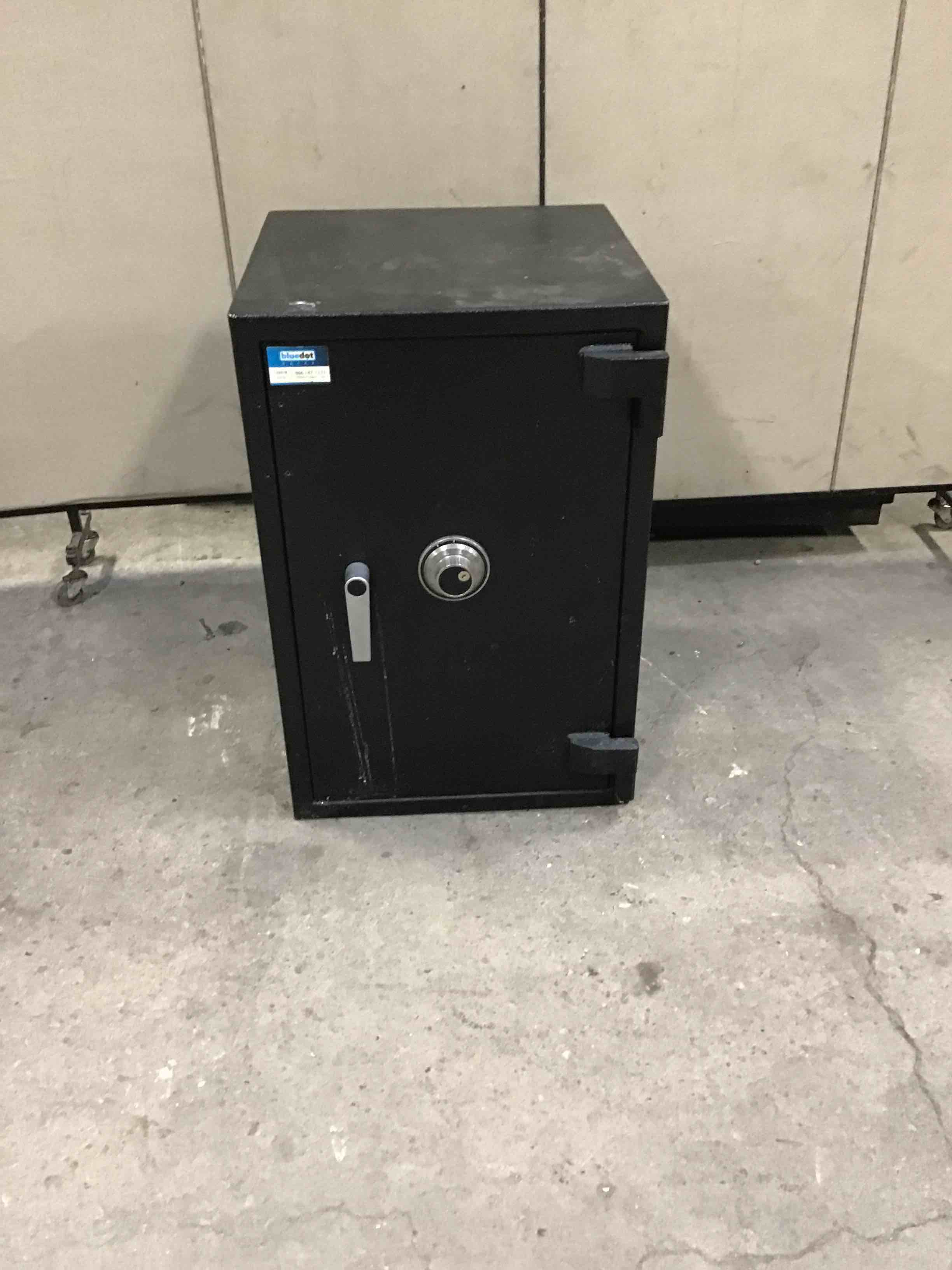 BLUEDOT SAFE