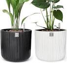 Greenhouse Decorations Ceramic Pot 2 Pack