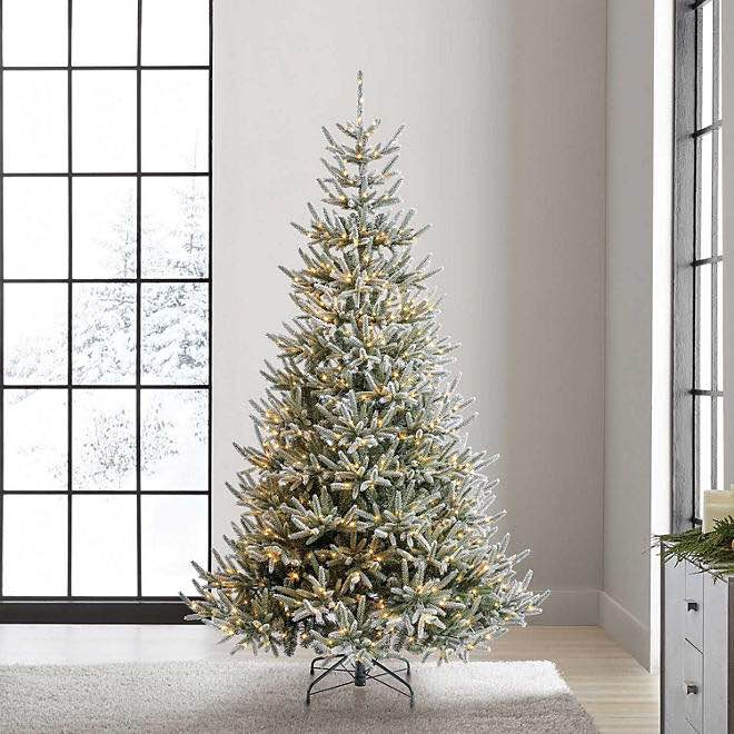 Member's Mark 6' 750 LED Pre-lit Snowy Georgia Fir Christmas Tree