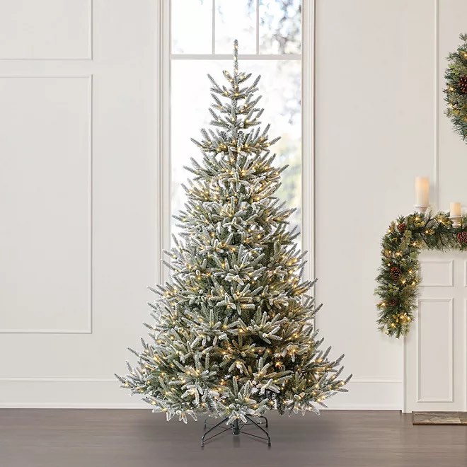 Member's Mark 7.5' Snowy Georgia Fir Christmas Tree