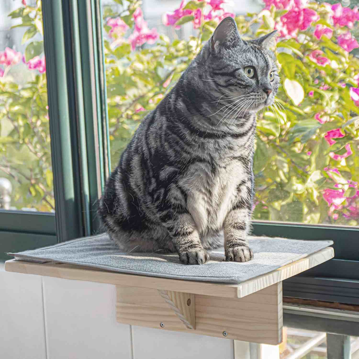 Yiotl Cat Window Perch and Wall Mount Cat Window Hammock Natural Solid Wood with Removable Mat, Fit for Windows, Door, Drawer YTL0020